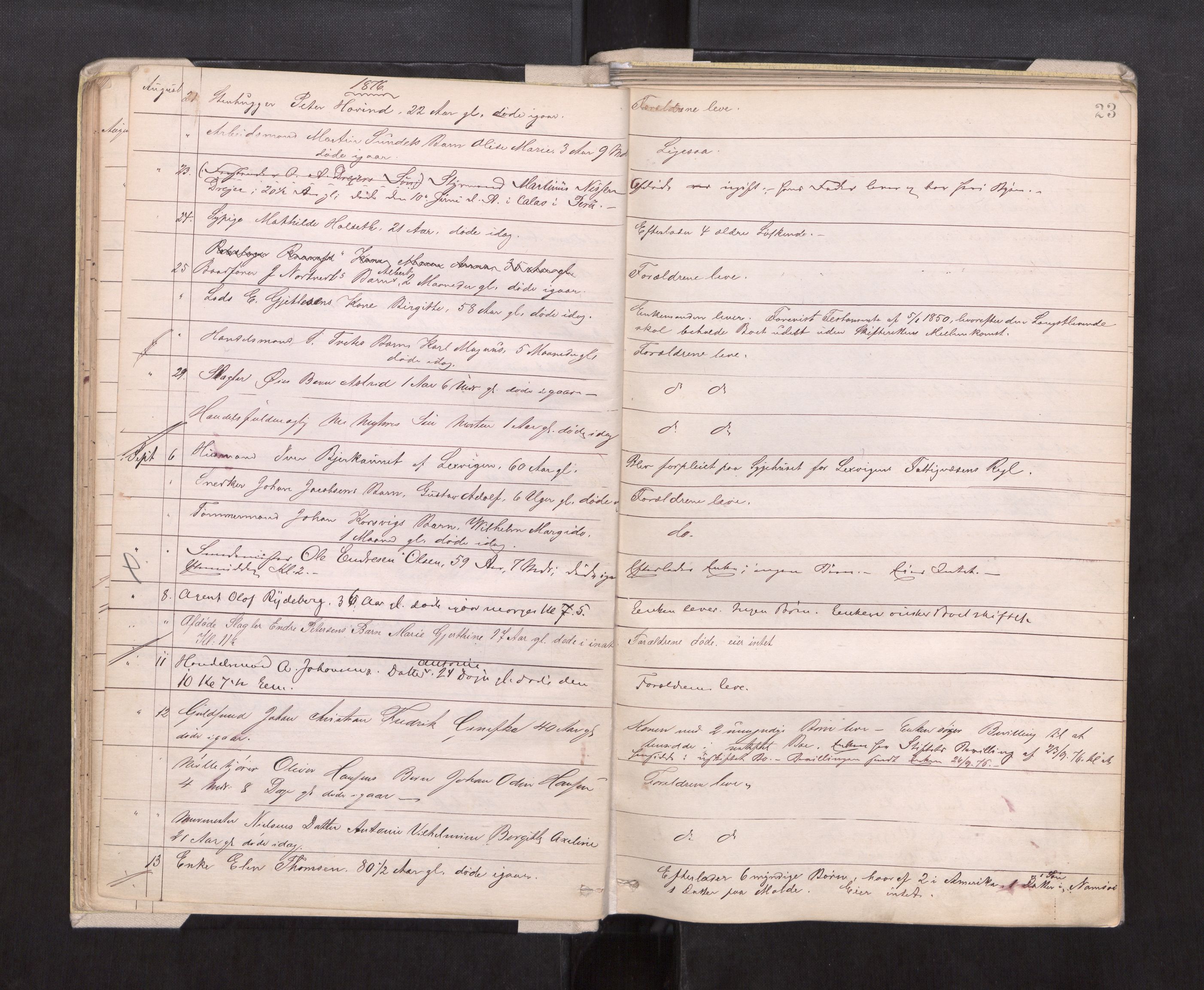 Trondheim byfogd, AV/SAT-A-0003/1/3/3L/L0002: Dødsanmeldelsesprotokoll, 1875-1879, p. 23