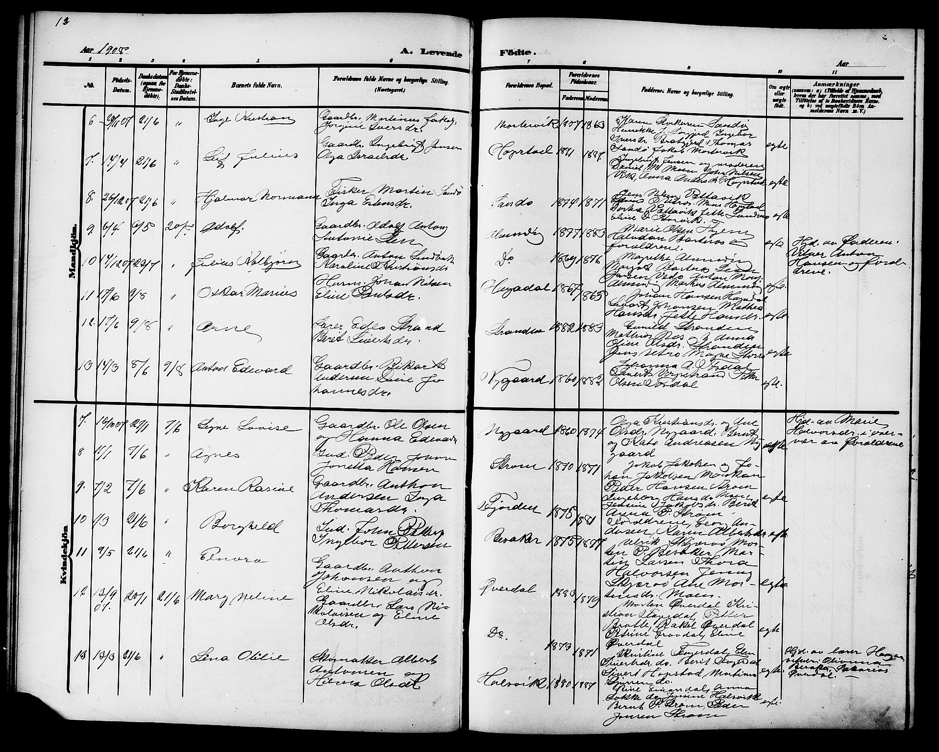 Ministerialprotokoller, klokkerbøker og fødselsregistre - Sør-Trøndelag, SAT/A-1456/657/L0717: Parish register (copy) no. 657C04, 1904-1923, p. 12