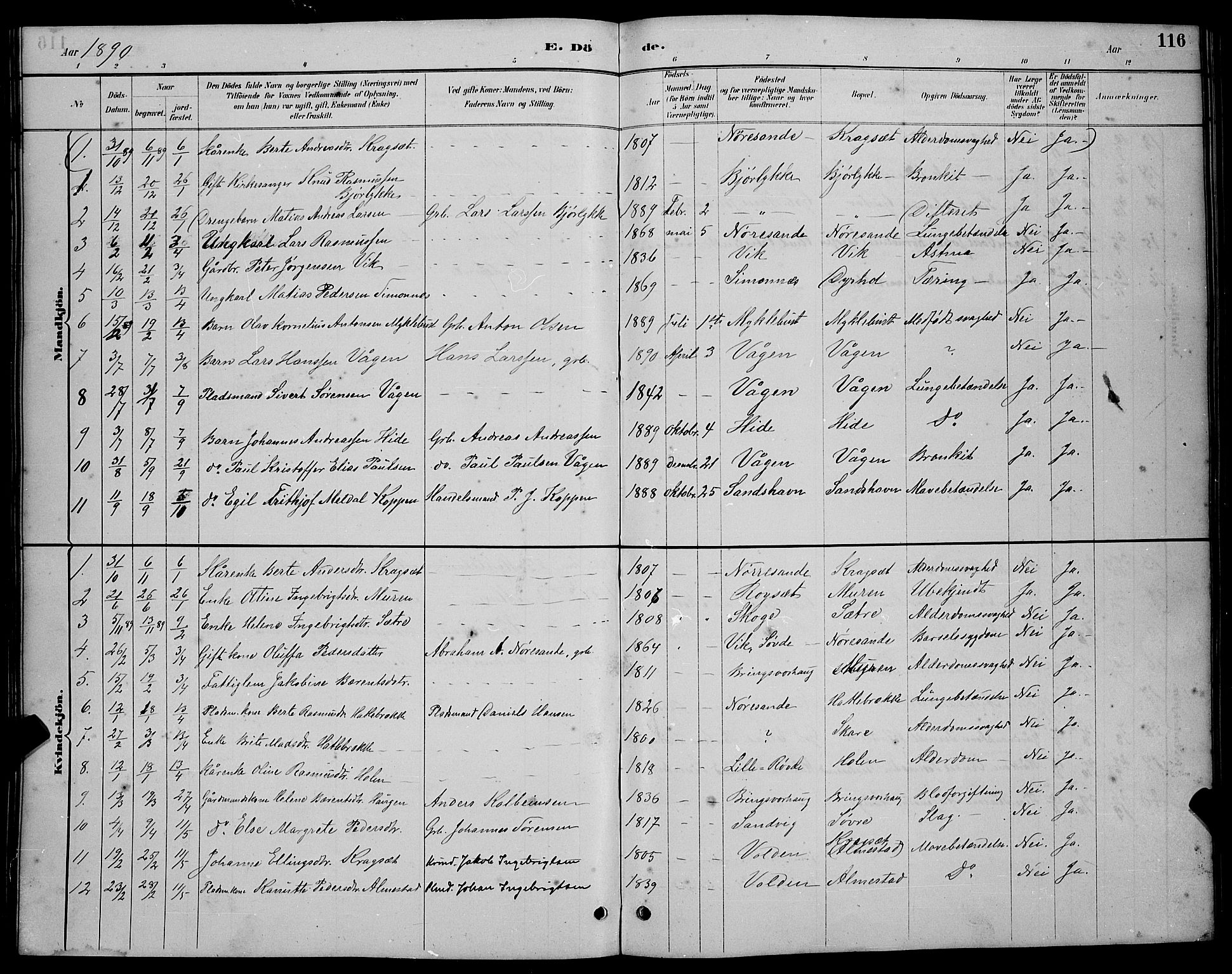 Ministerialprotokoller, klokkerbøker og fødselsregistre - Møre og Romsdal, AV/SAT-A-1454/503/L0048: Parish register (copy) no. 503C03, 1885-1893, p. 116