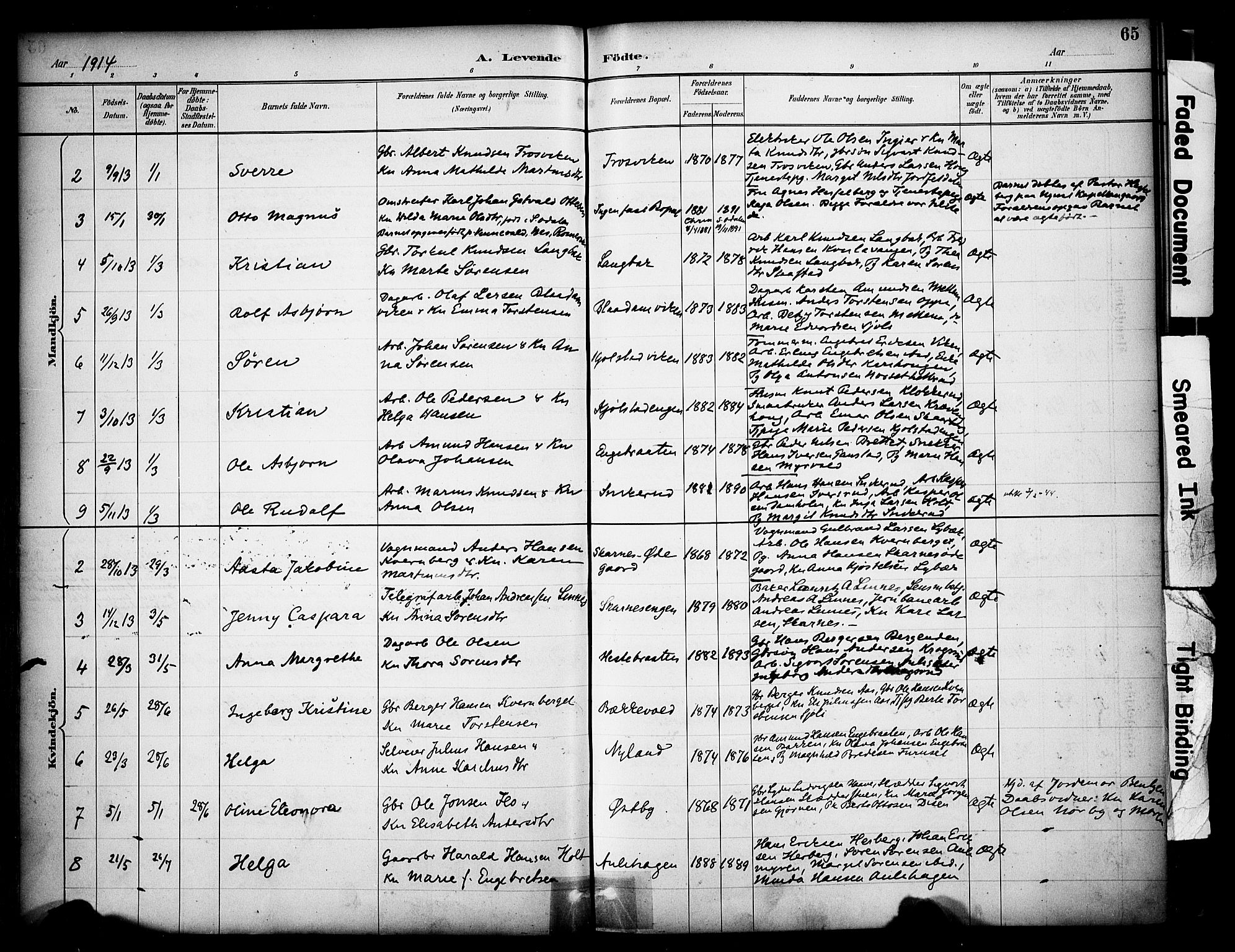 Sør-Odal prestekontor, AV/SAH-PREST-030/H/Ha/Haa/L0009: Parish register (official) no. 9, 1886-1926, p. 65