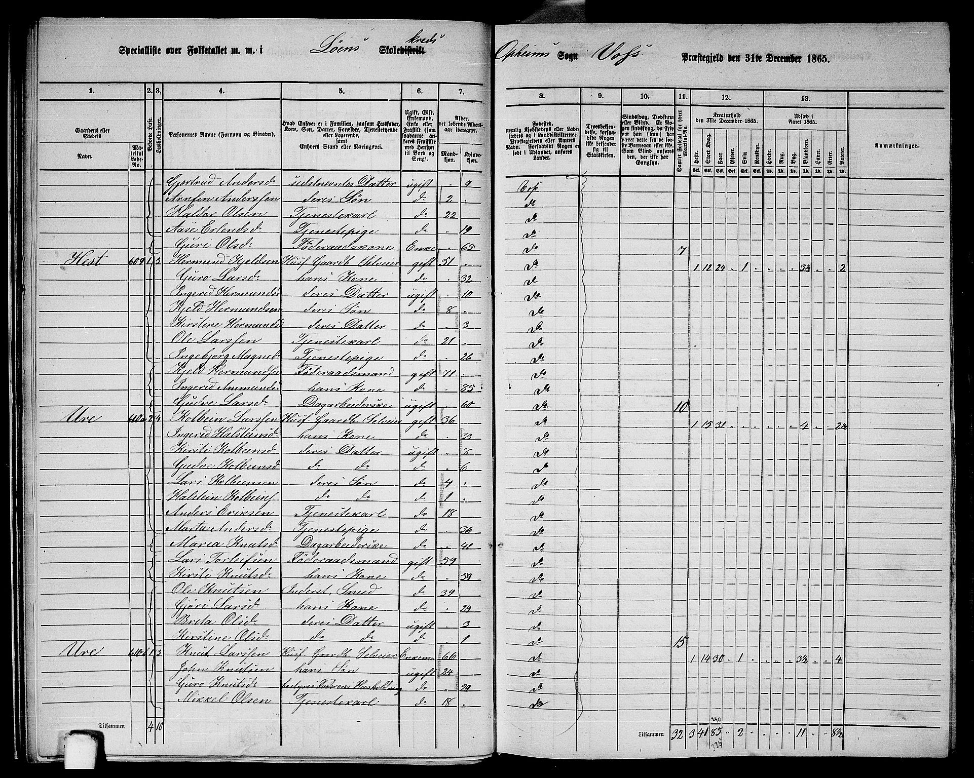 RA, 1865 census for Voss, 1865, p. 245