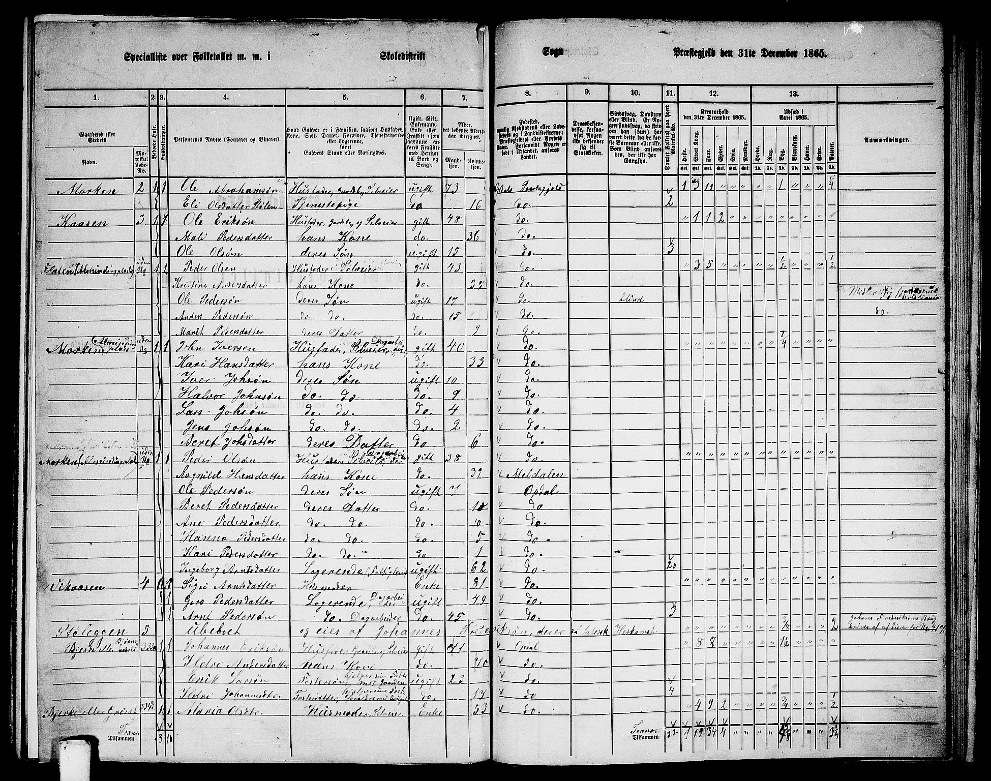 RA, 1865 census for Oppdal, 1865, p. 170