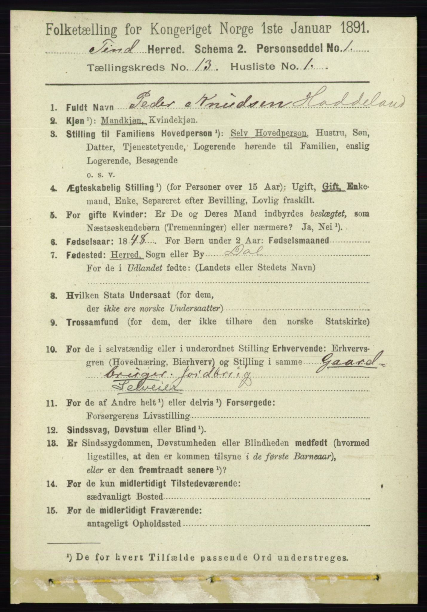 RA, 1891 census for 0826 Tinn, 1891, p. 2660