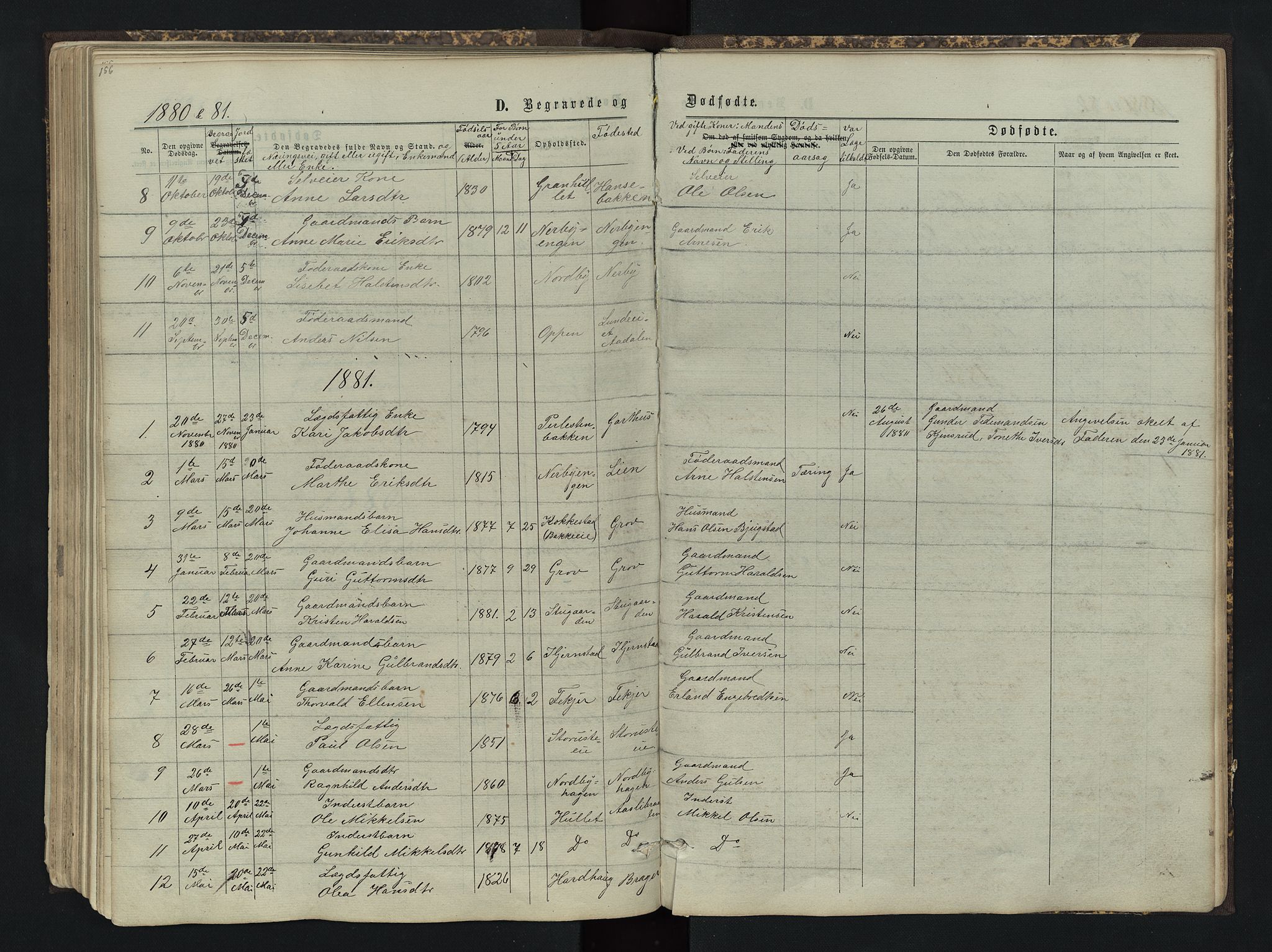 Sør-Aurdal prestekontor, SAH/PREST-128/H/Ha/Hab/L0004: Parish register (copy) no. 4, 1865-1893, p. 156