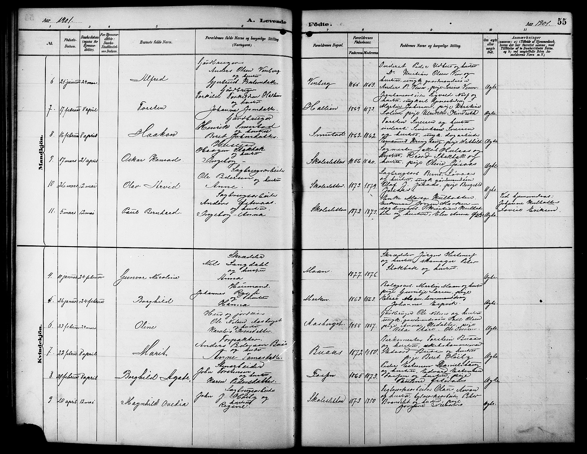 Ministerialprotokoller, klokkerbøker og fødselsregistre - Sør-Trøndelag, SAT/A-1456/617/L0431: Parish register (copy) no. 617C01, 1889-1910, p. 55