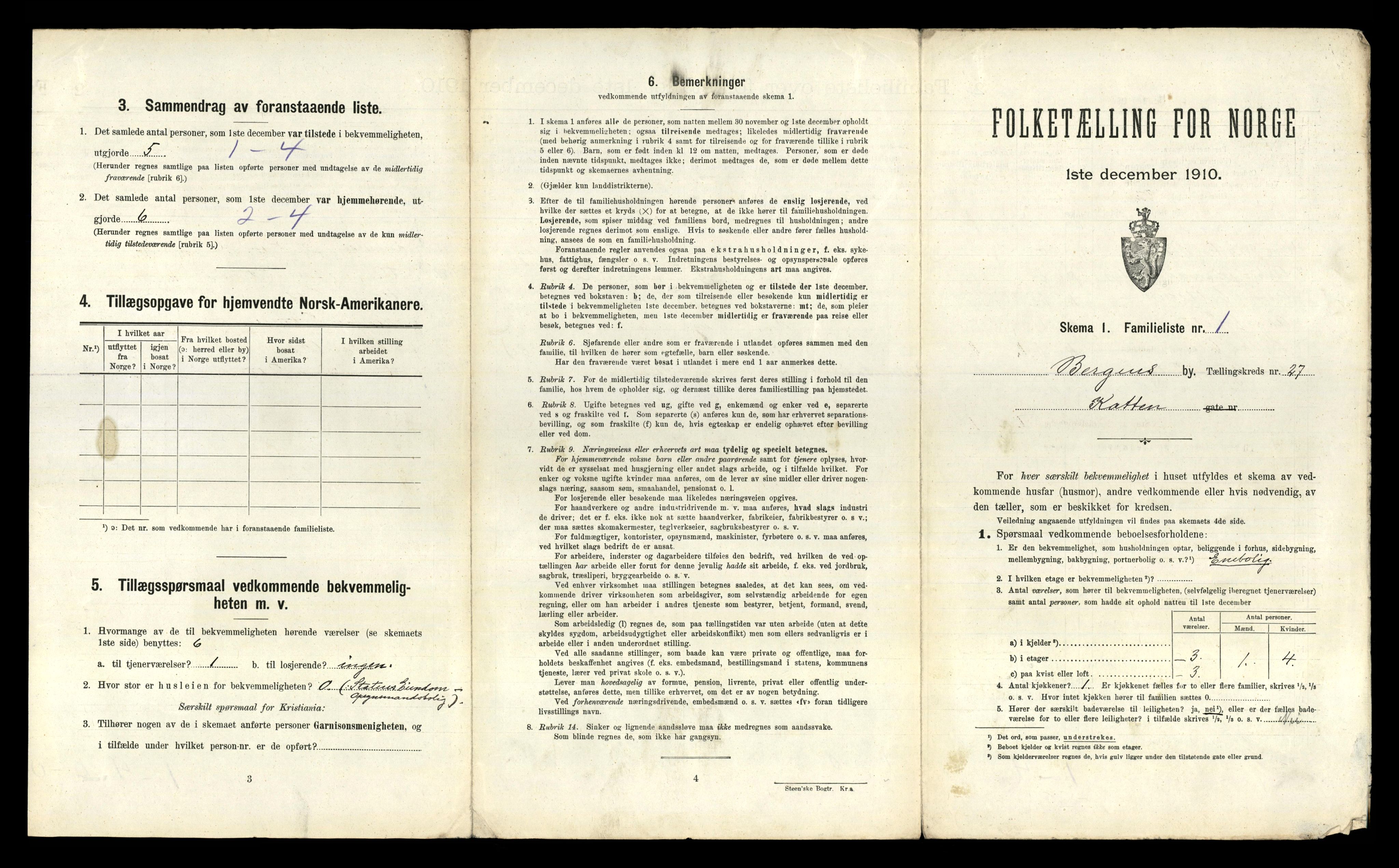 RA, 1910 census for Bergen, 1910, p. 8667