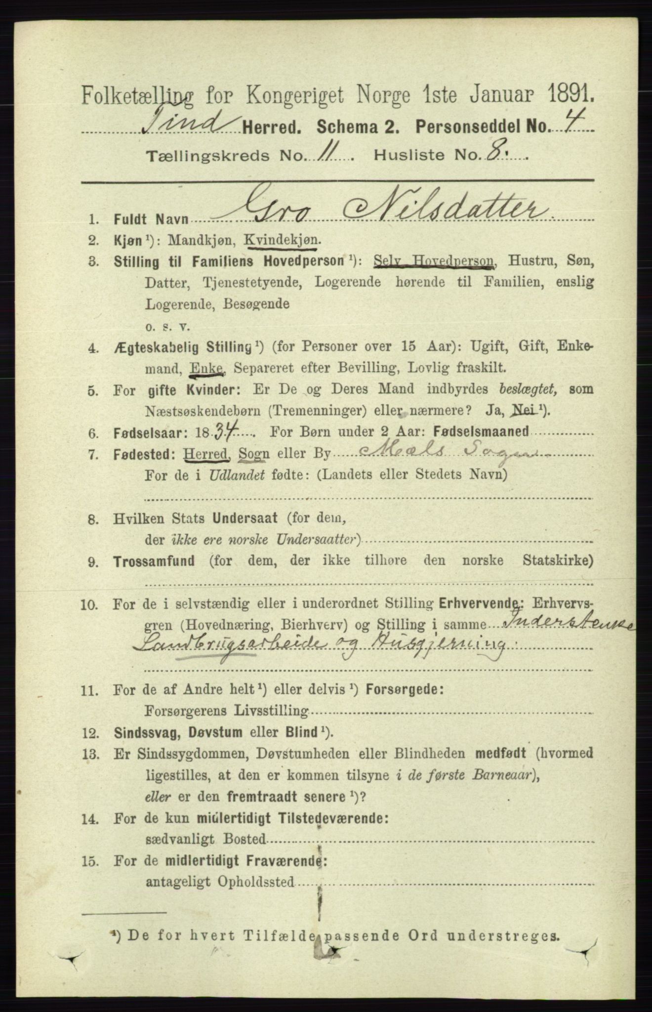 RA, 1891 census for 0826 Tinn, 1891, p. 2165