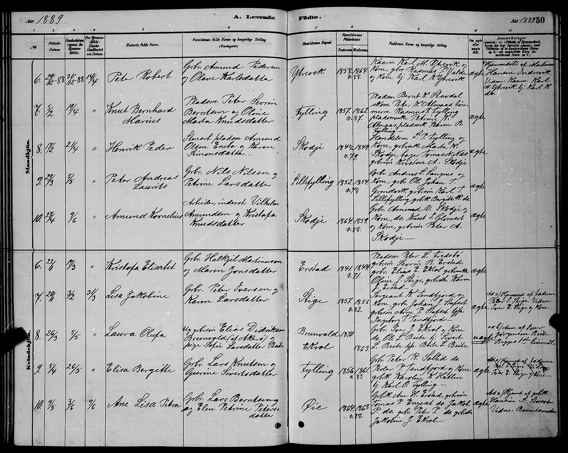 Ministerialprotokoller, klokkerbøker og fødselsregistre - Møre og Romsdal, AV/SAT-A-1454/524/L0365: Parish register (copy) no. 524C06, 1880-1899, p. 50