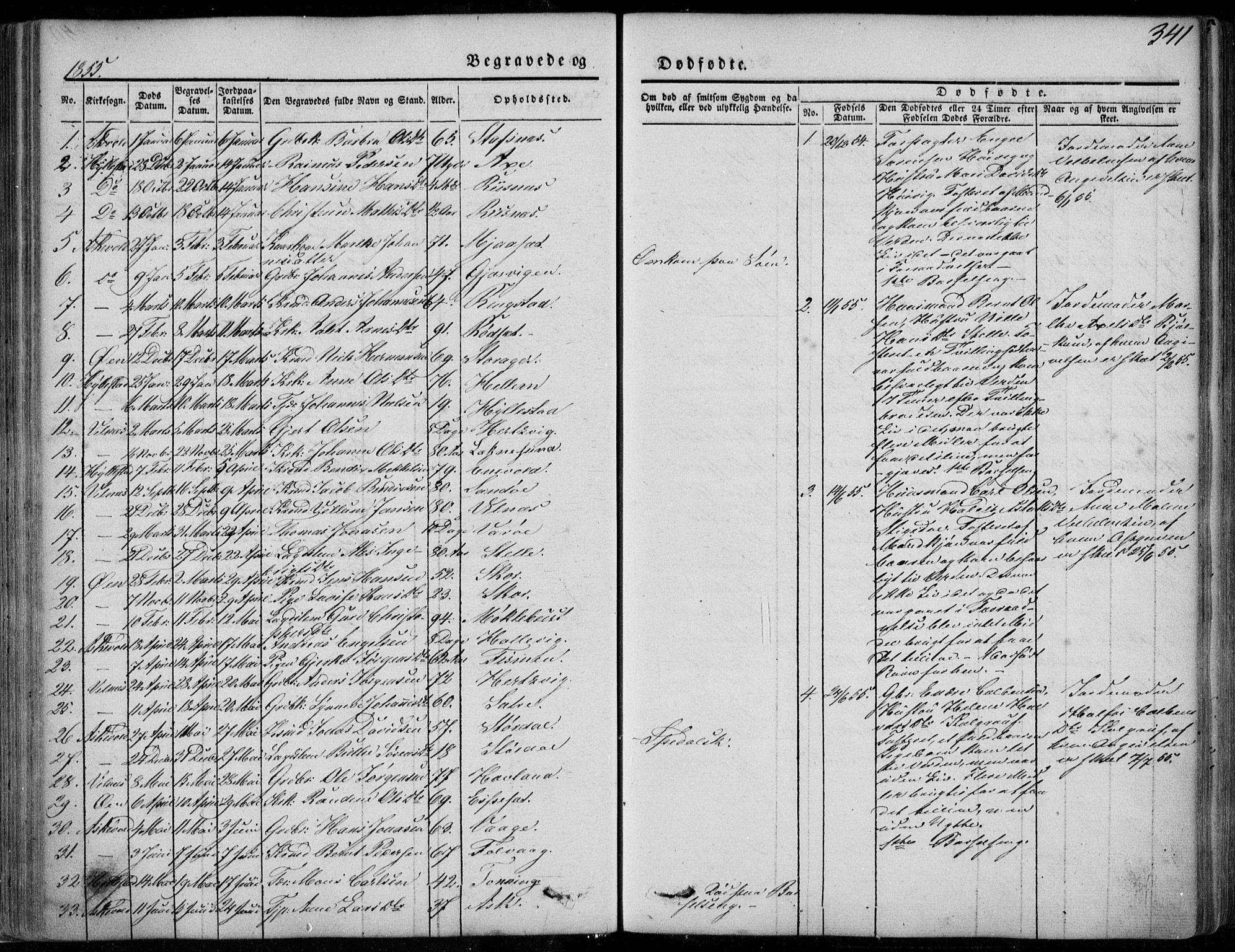 Askvoll sokneprestembete, AV/SAB-A-79501/H/Haa/Haaa/L0011/0002: Parish register (official) no. A 11 II, 1845-1878, p. 341