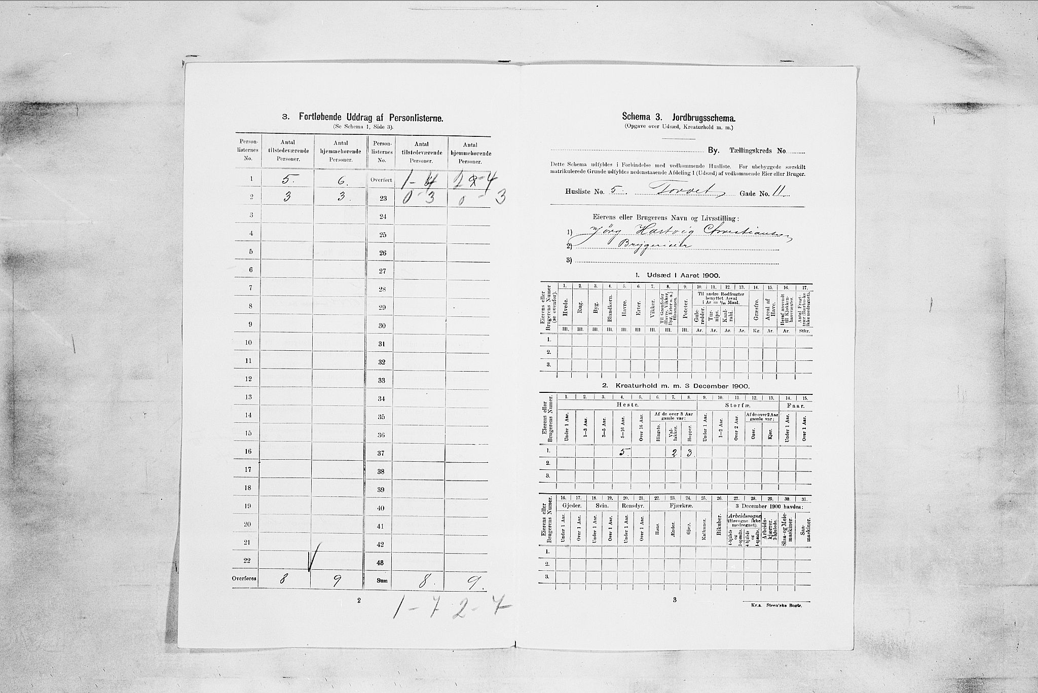 RA, 1900 census for Larvik, 1900, p. 542