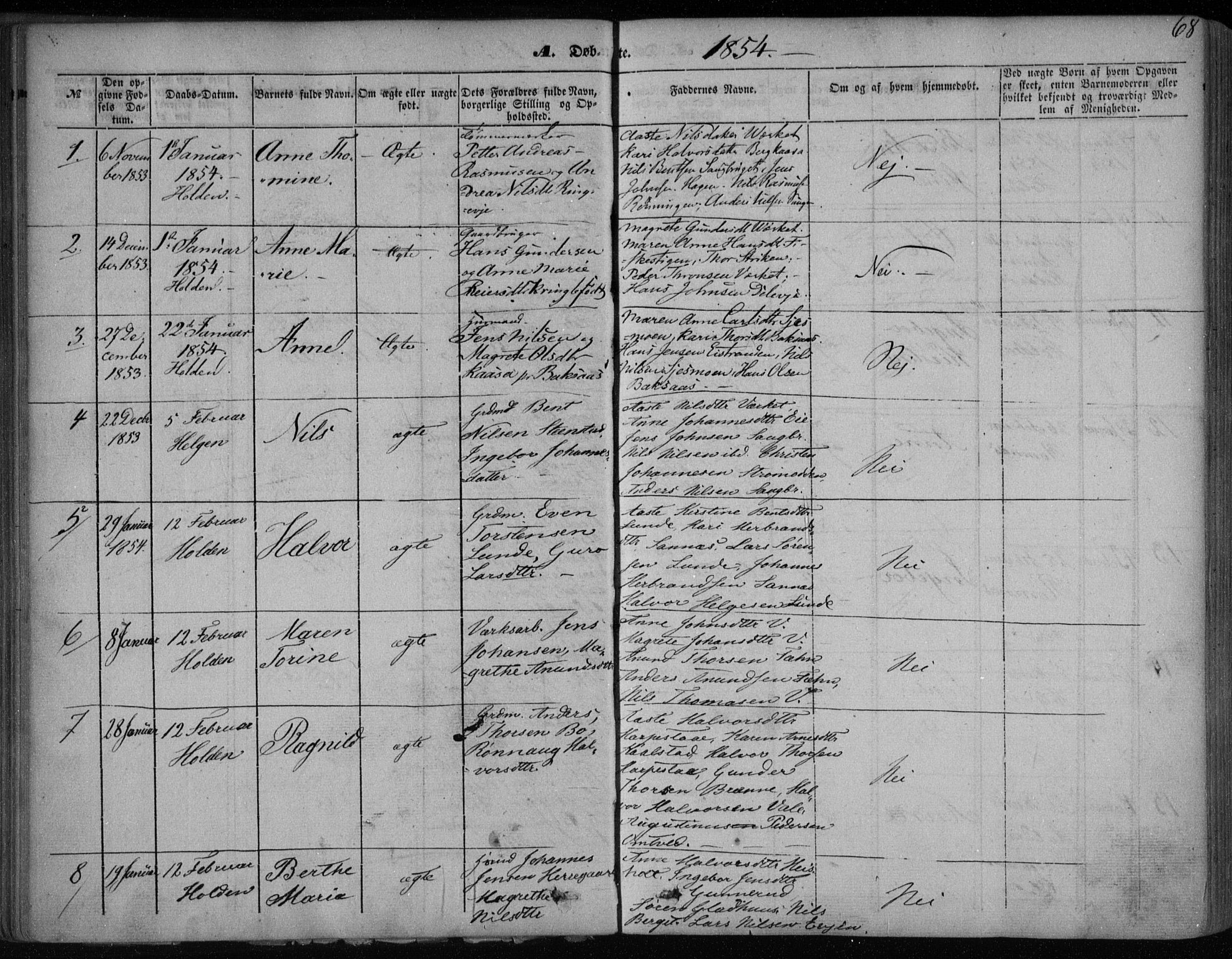 Holla kirkebøker, AV/SAKO-A-272/F/Fa/L0005: Parish register (official) no. 5, 1849-1860, p. 68