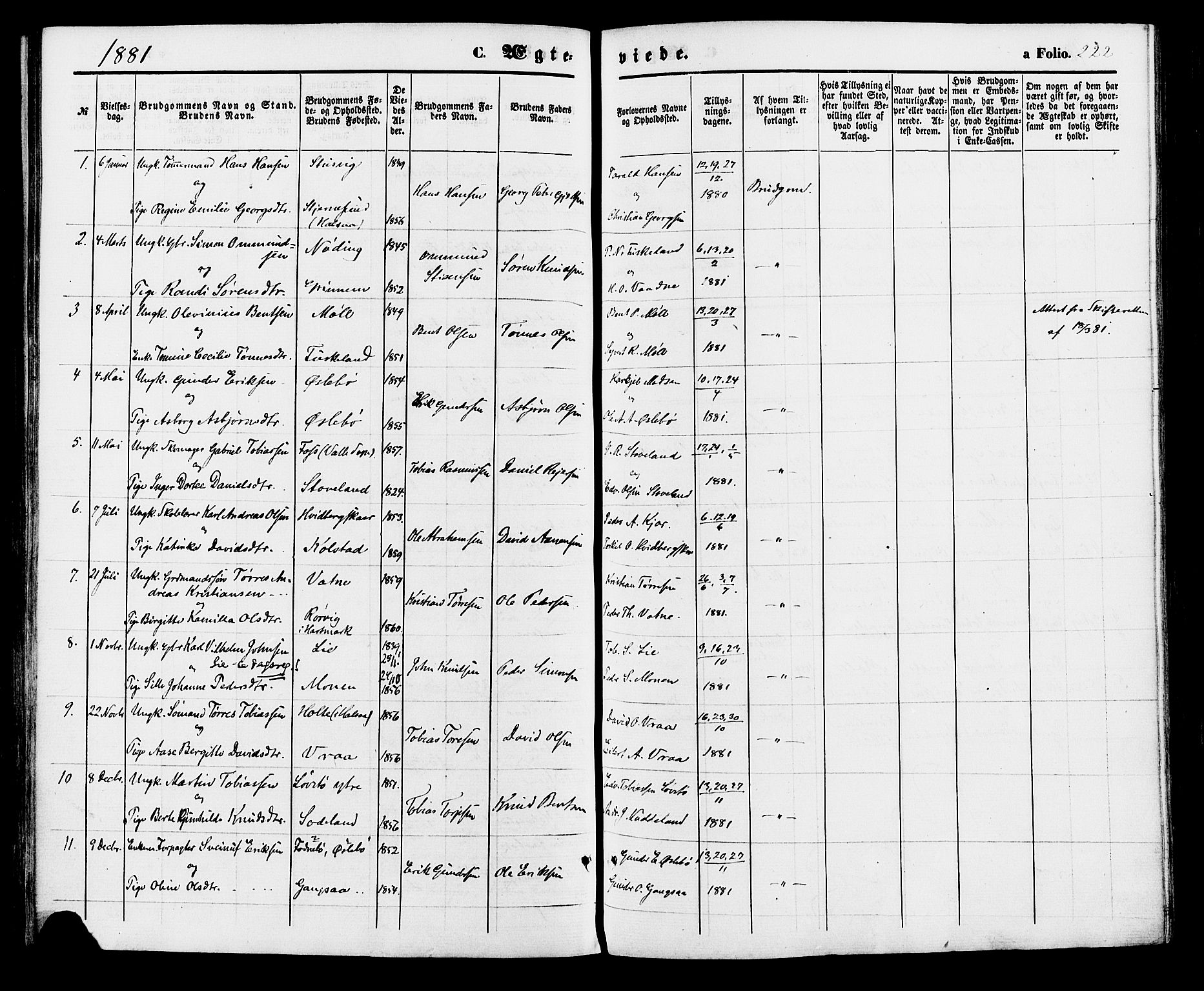 Holum sokneprestkontor, AV/SAK-1111-0022/F/Fa/Faa/L0006: Parish register (official) no. A 6, 1865-1883, p. 222