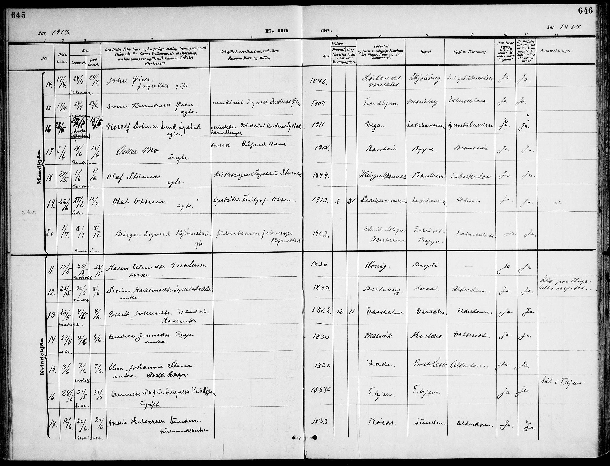 Ministerialprotokoller, klokkerbøker og fødselsregistre - Sør-Trøndelag, AV/SAT-A-1456/607/L0320: Parish register (official) no. 607A04, 1907-1915, p. 645-646