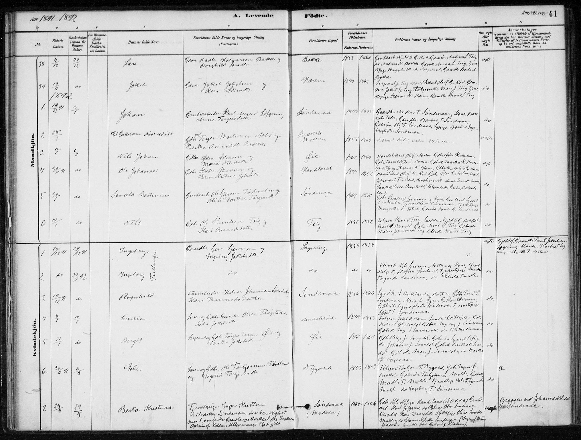 Sand sokneprestkontor, AV/SAST-A-101848/01/III/L0006: Parish register (official) no. A 6, 1880-1898, p. 41