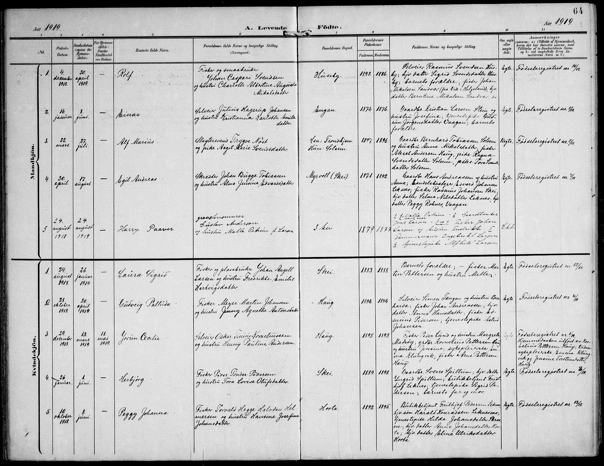 Ministerialprotokoller, klokkerbøker og fødselsregistre - Nord-Trøndelag, AV/SAT-A-1458/788/L0698: Parish register (official) no. 788A05, 1902-1921, p. 64