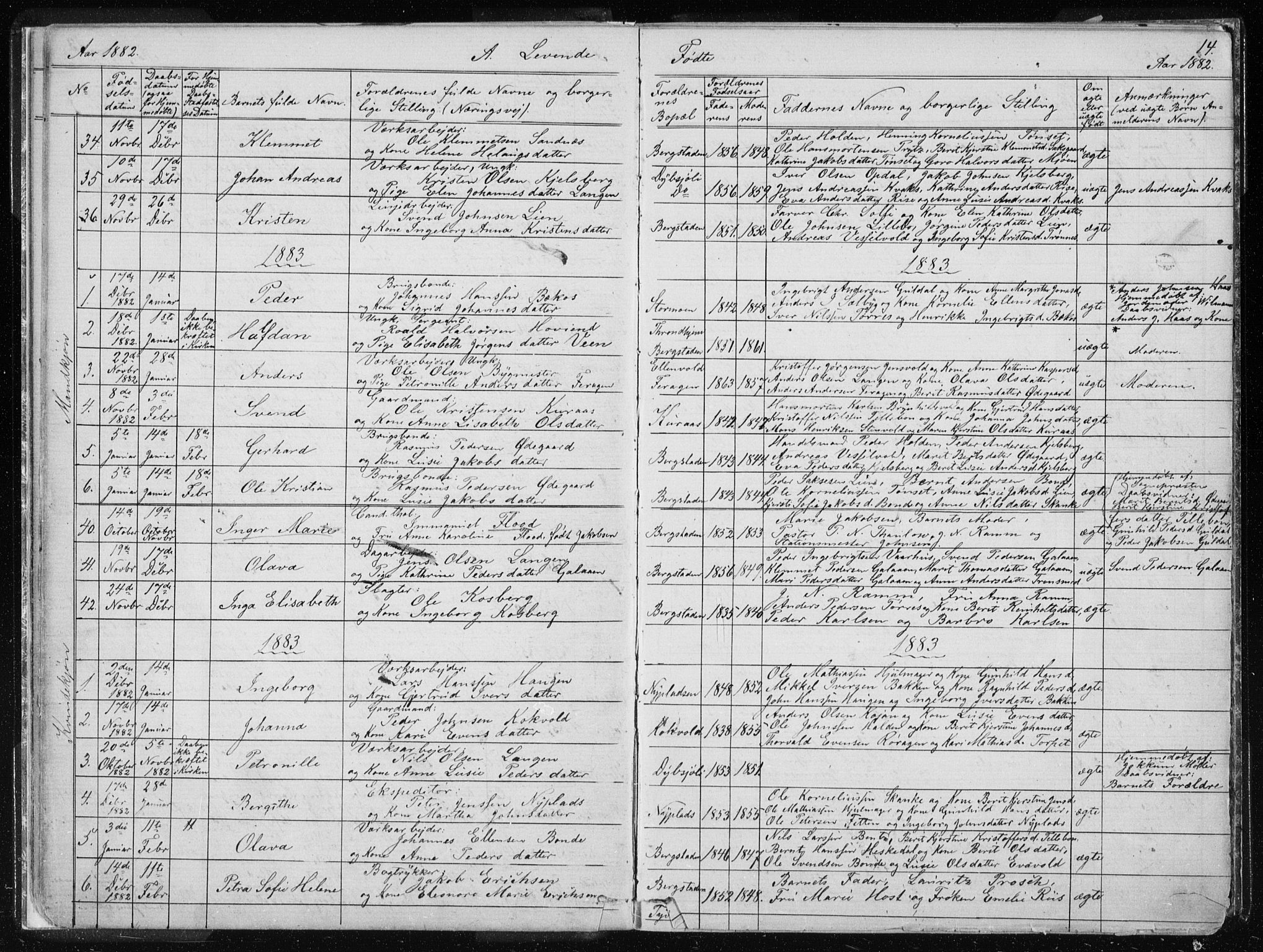 Ministerialprotokoller, klokkerbøker og fødselsregistre - Sør-Trøndelag, SAT/A-1456/681/L0940: Parish register (copy) no. 681C04, 1880-1895, p. 14