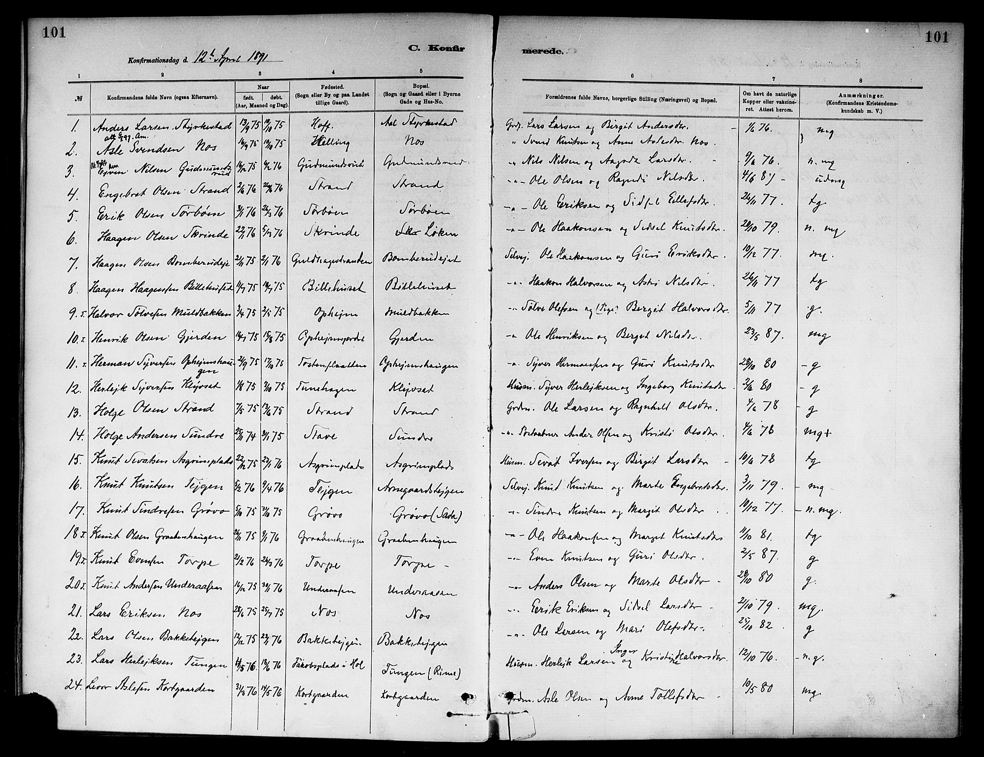 Ål kirkebøker, SAKO/A-249/F/Fa/L0008: Parish register (official) no. I 8, 1882-1896, p. 101