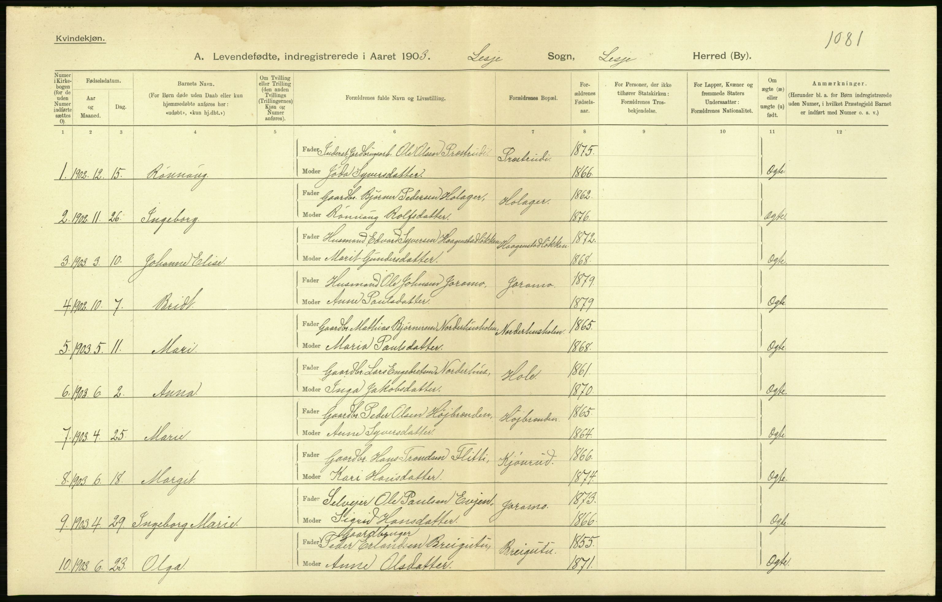 Statistisk sentralbyrå, Sosiodemografiske emner, Befolkning, AV/RA-S-2228/D/Df/Dfa/Dfaa/L0006: Kristians amt: Fødte, gifte, døde, 1903, p. 10