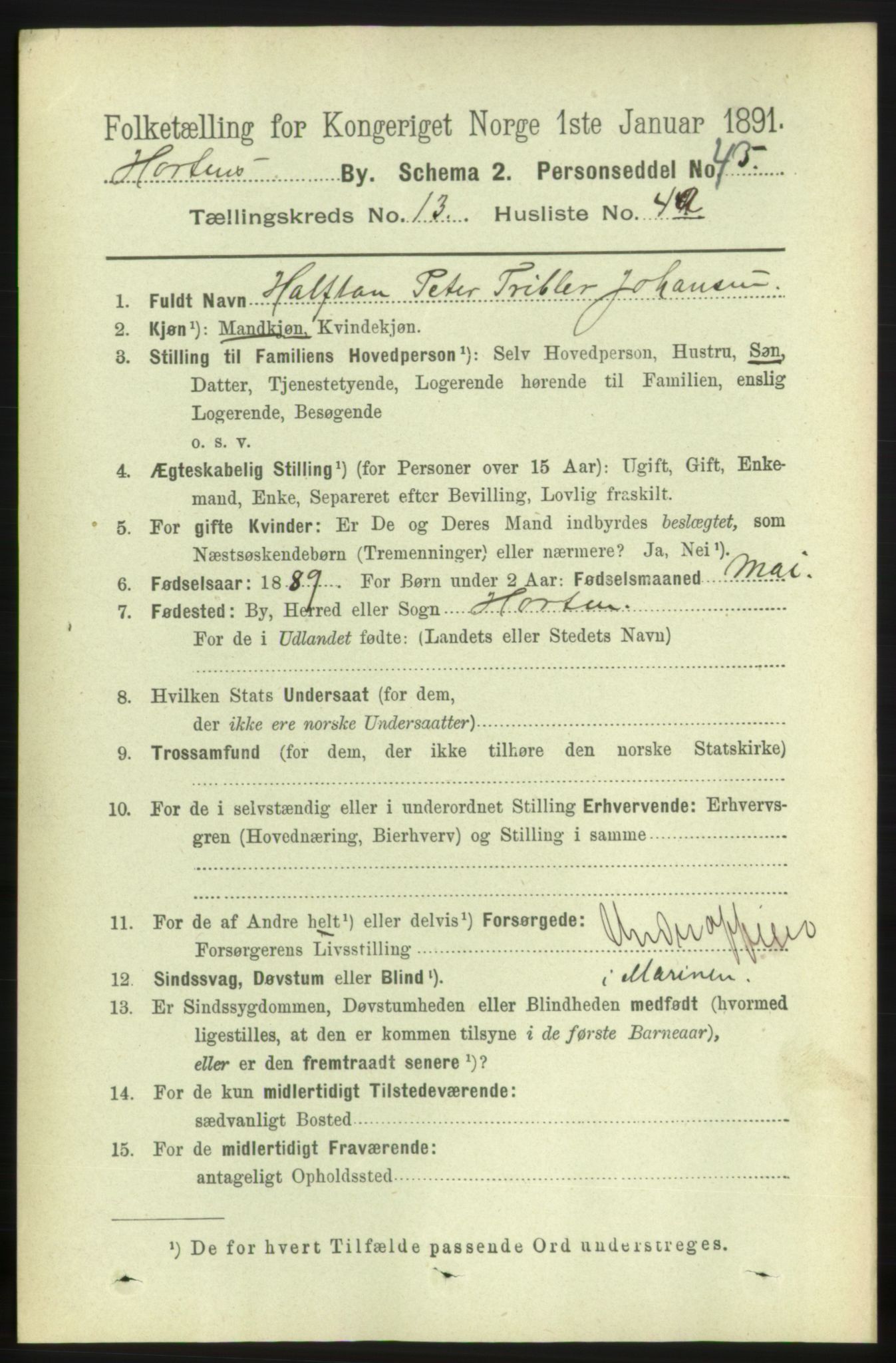 RA, 1891 census for 0703 Horten, 1891, p. 8138