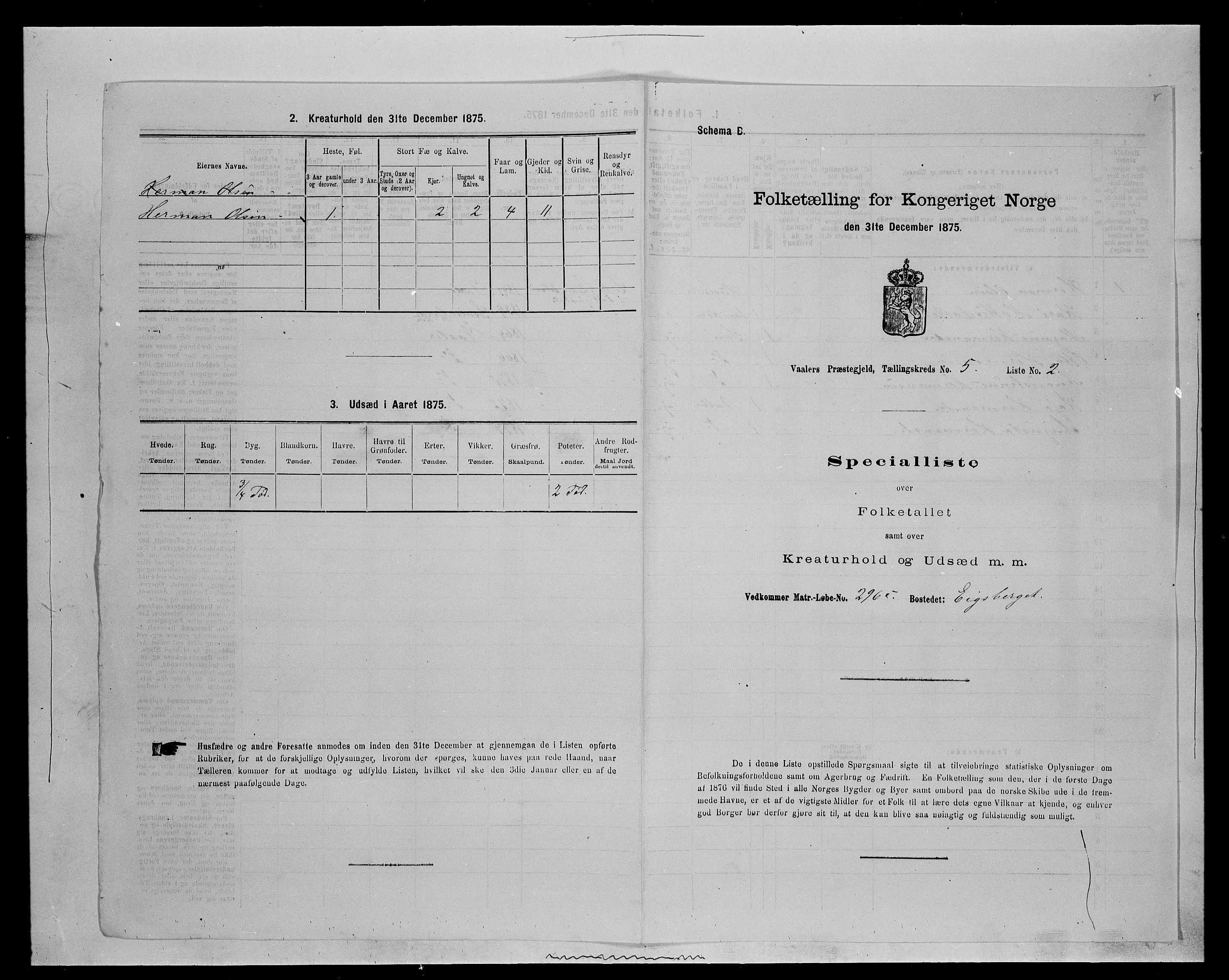 SAH, 1875 census for 0426P Våler parish (Hedmark), 1875, p. 589