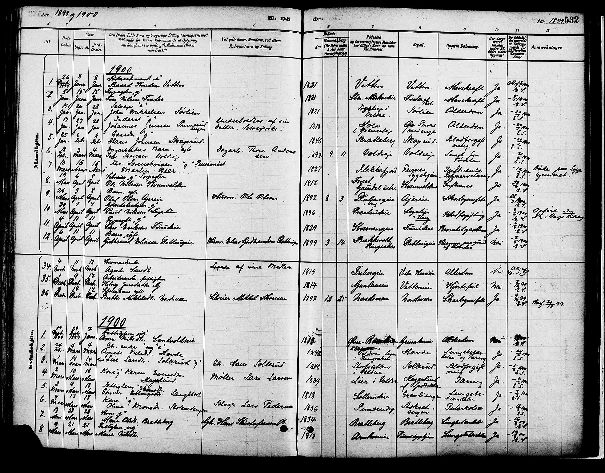Vang prestekontor, Hedmark, SAH/PREST-008/H/Ha/Haa/L0018B: Parish register (official) no. 18B, 1880-1906, p. 532
