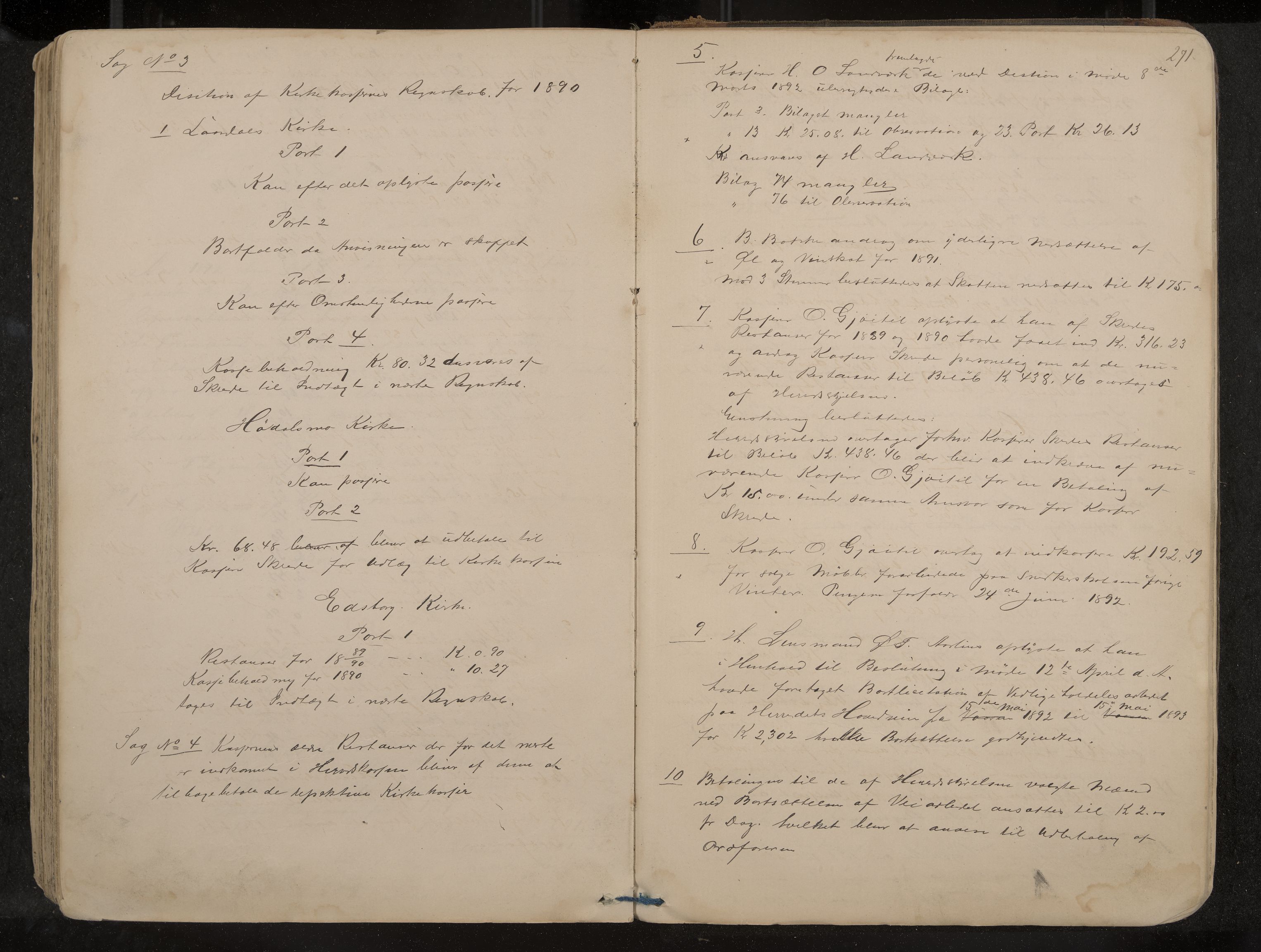 Lårdal formannskap og sentraladministrasjon, IKAK/0833021/A/L0002: Møtebok, 1865-1893, p. 271