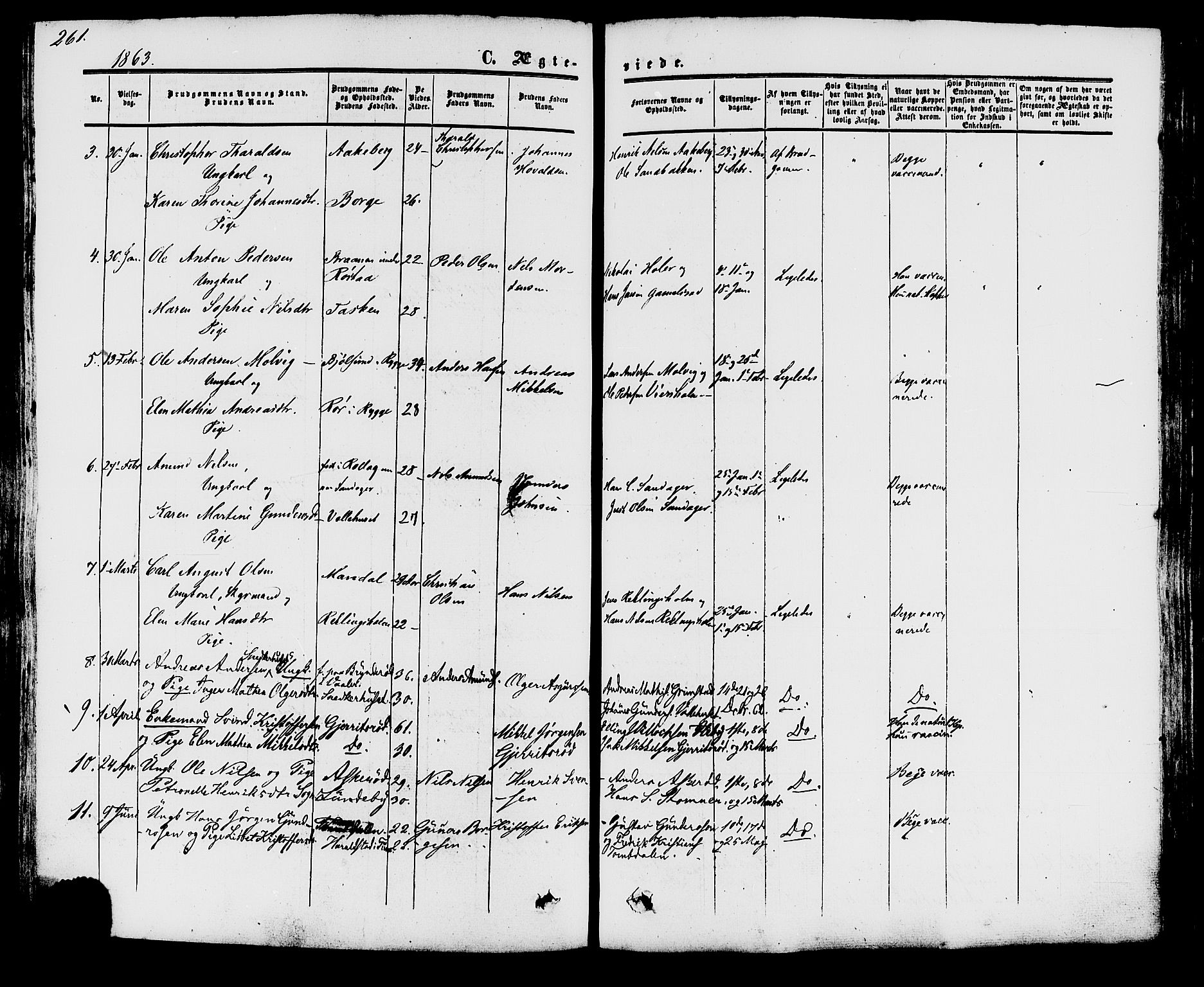 Råde prestekontor kirkebøker, AV/SAO-A-2009/F/Fa/L0006: Parish register (official) no. 6, 1854-1877, p. 261