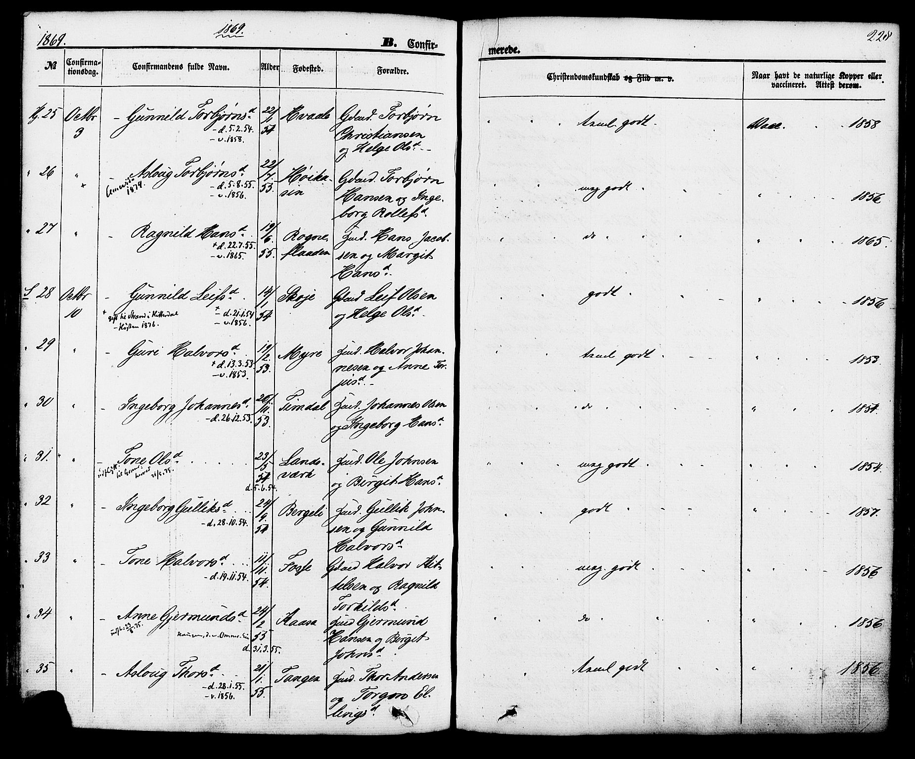 Hjartdal kirkebøker, AV/SAKO-A-270/F/Fa/L0009: Parish register (official) no. I 9, 1860-1879, p. 228