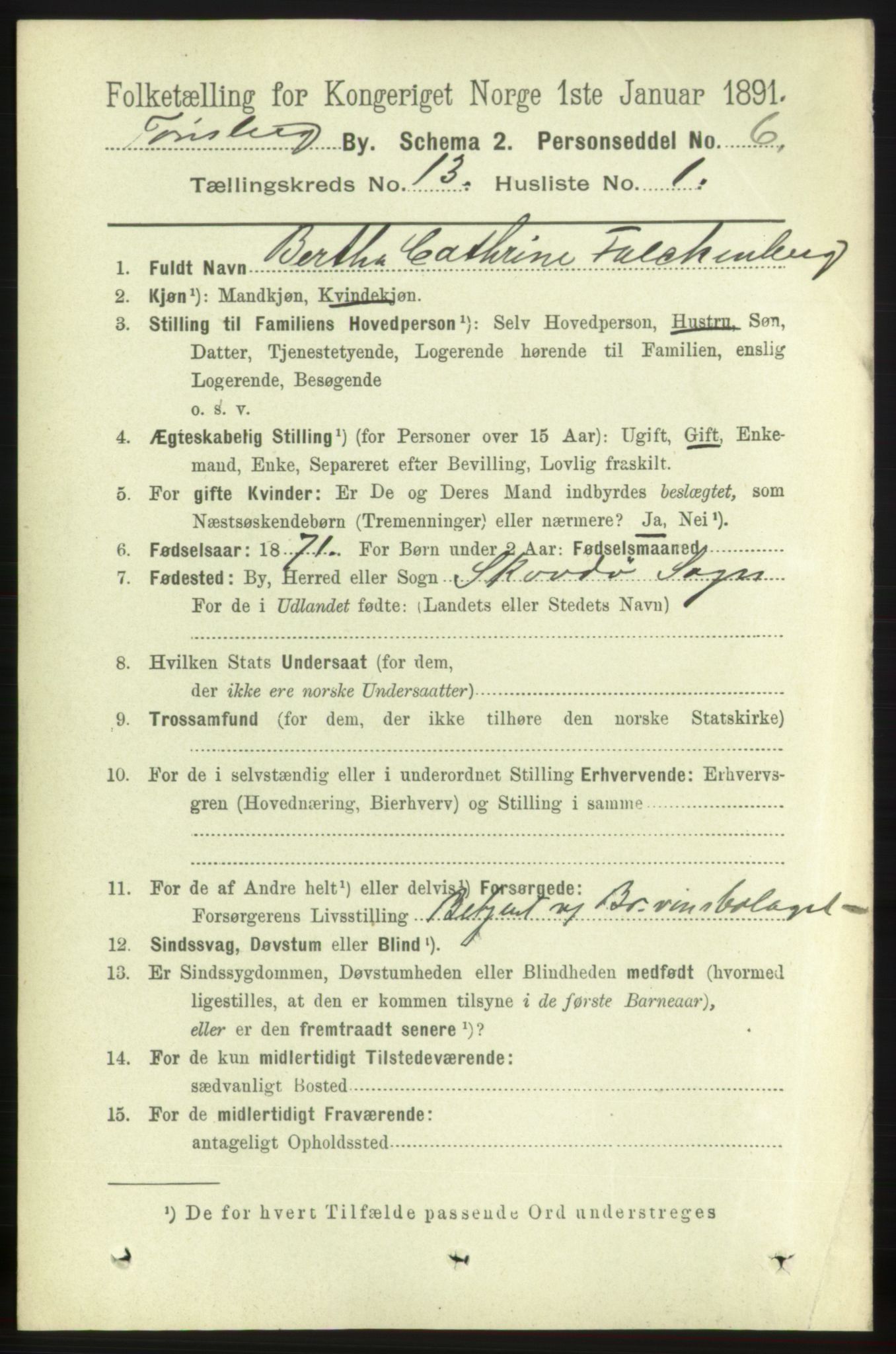 RA, 1891 census for 0705 Tønsberg, 1891, p. 4305