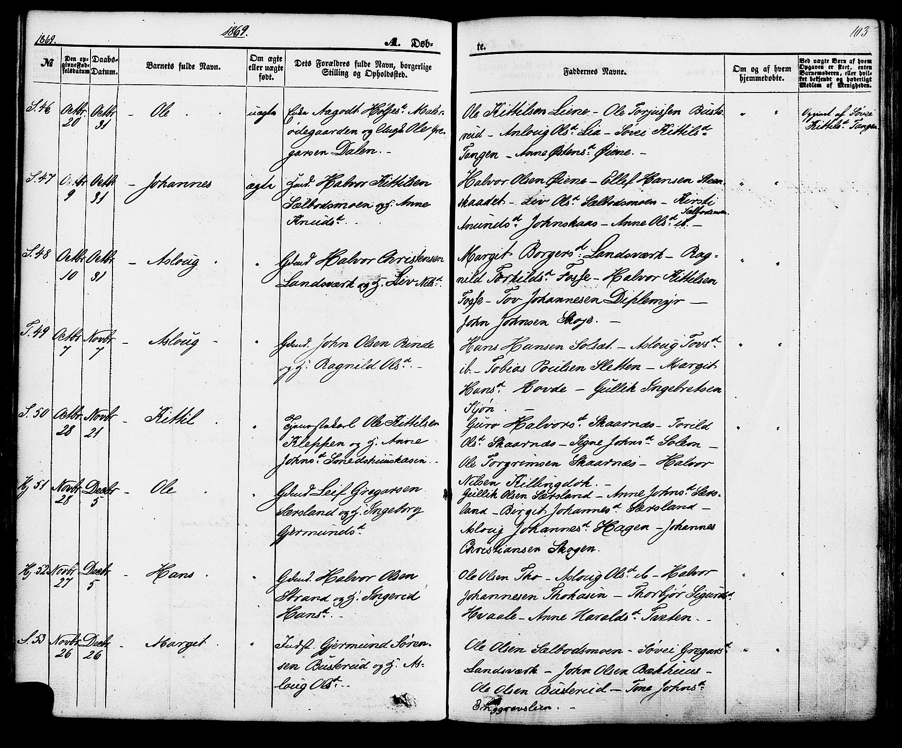 Hjartdal kirkebøker, SAKO/A-270/F/Fa/L0009: Parish register (official) no. I 9, 1860-1879, p. 103