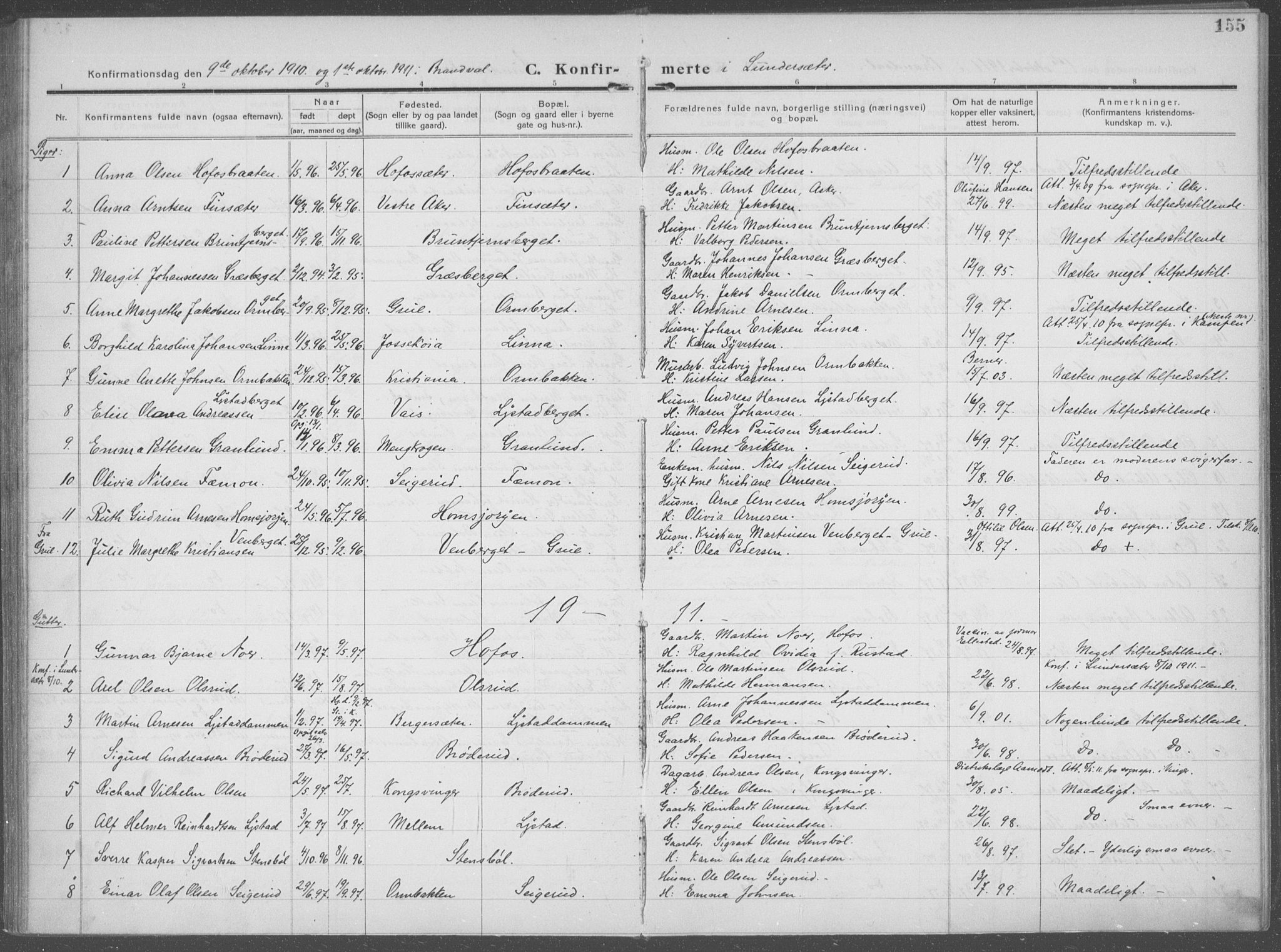 Brandval prestekontor, AV/SAH-PREST-034/H/Ha/Haa/L0004: Parish register (official) no. 4, 1910-1924, p. 155