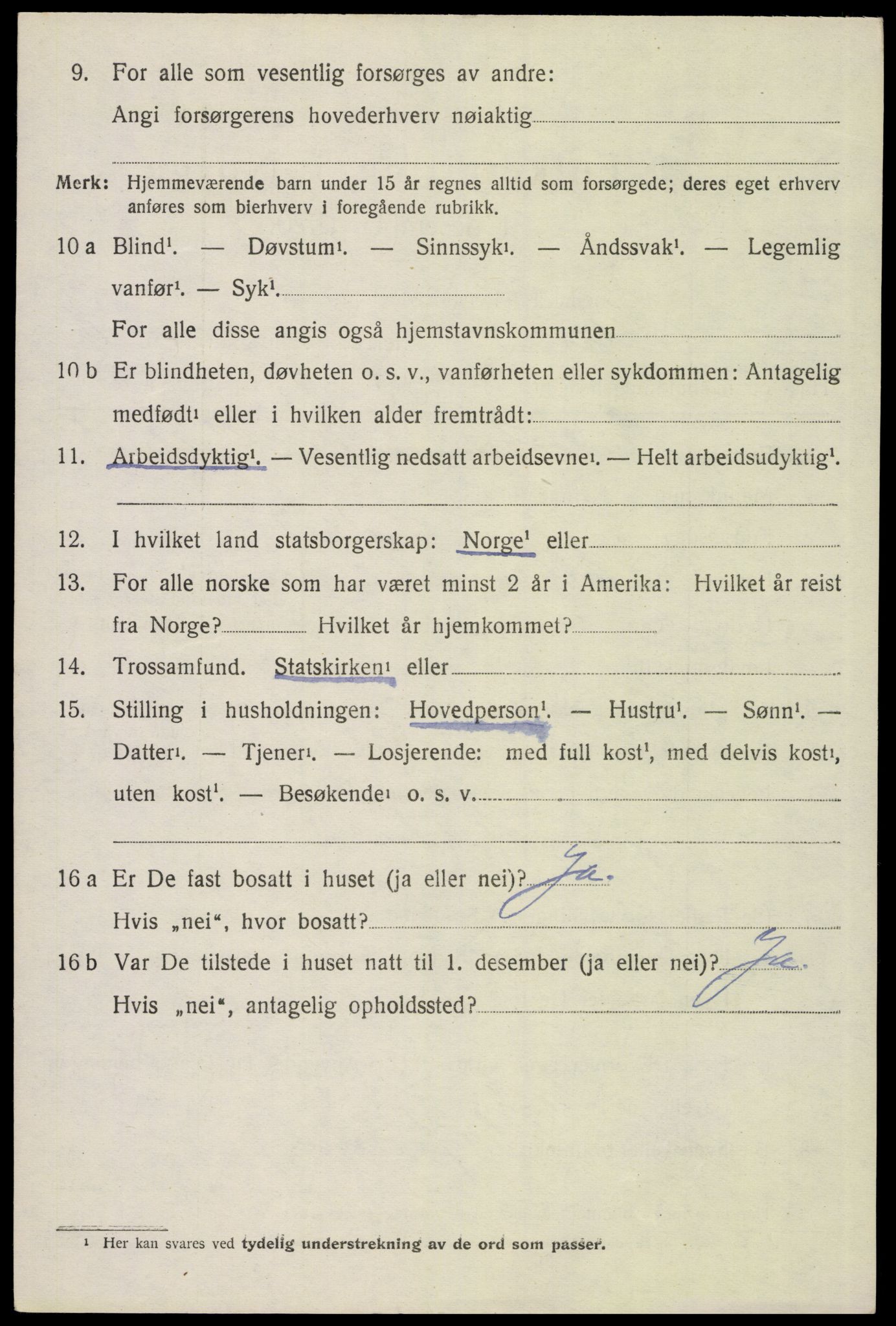 SAH, 1920 census for Åsnes, 1920, p. 11441