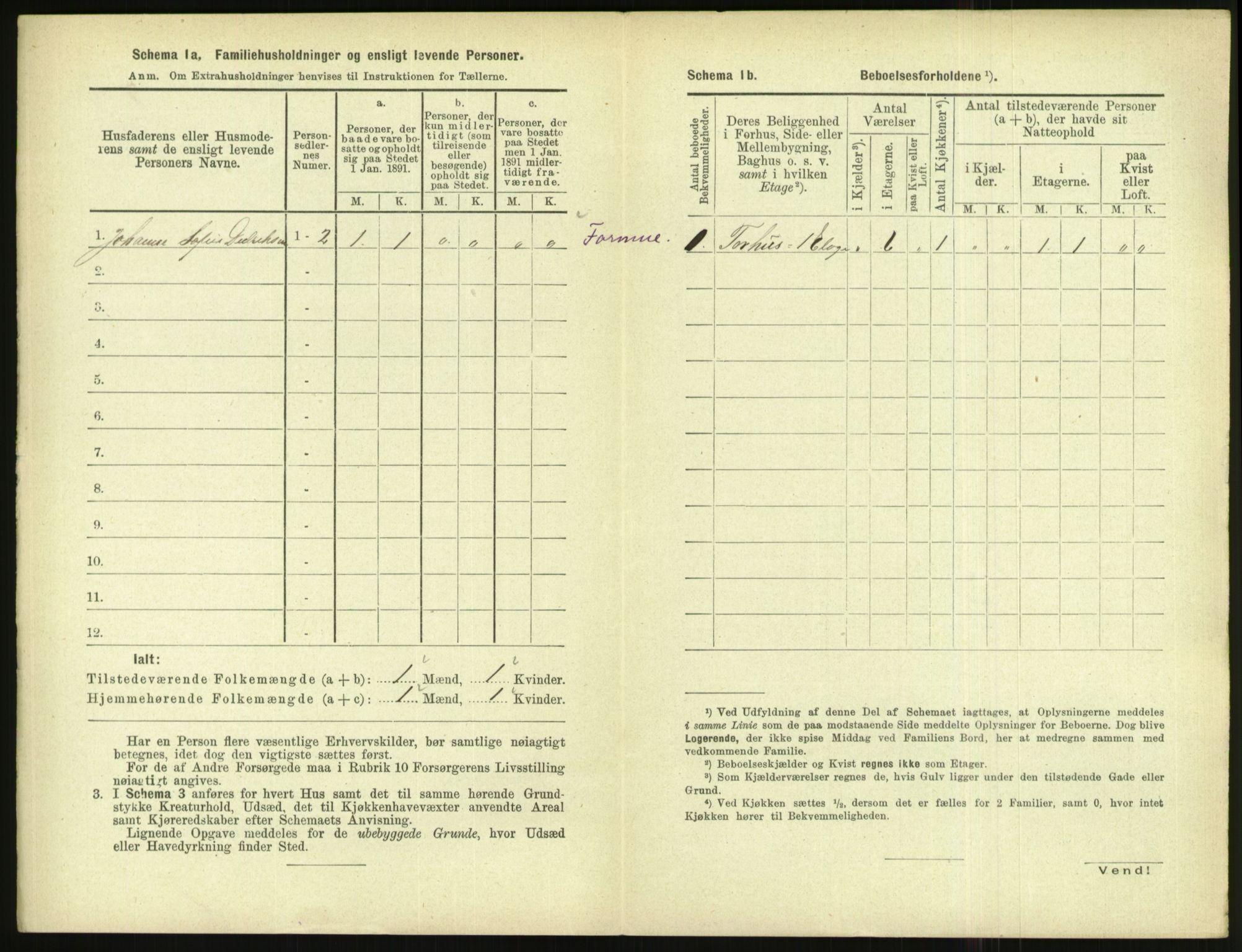 RA, 1891 census for 1004 Flekkefjord, 1891, p. 221