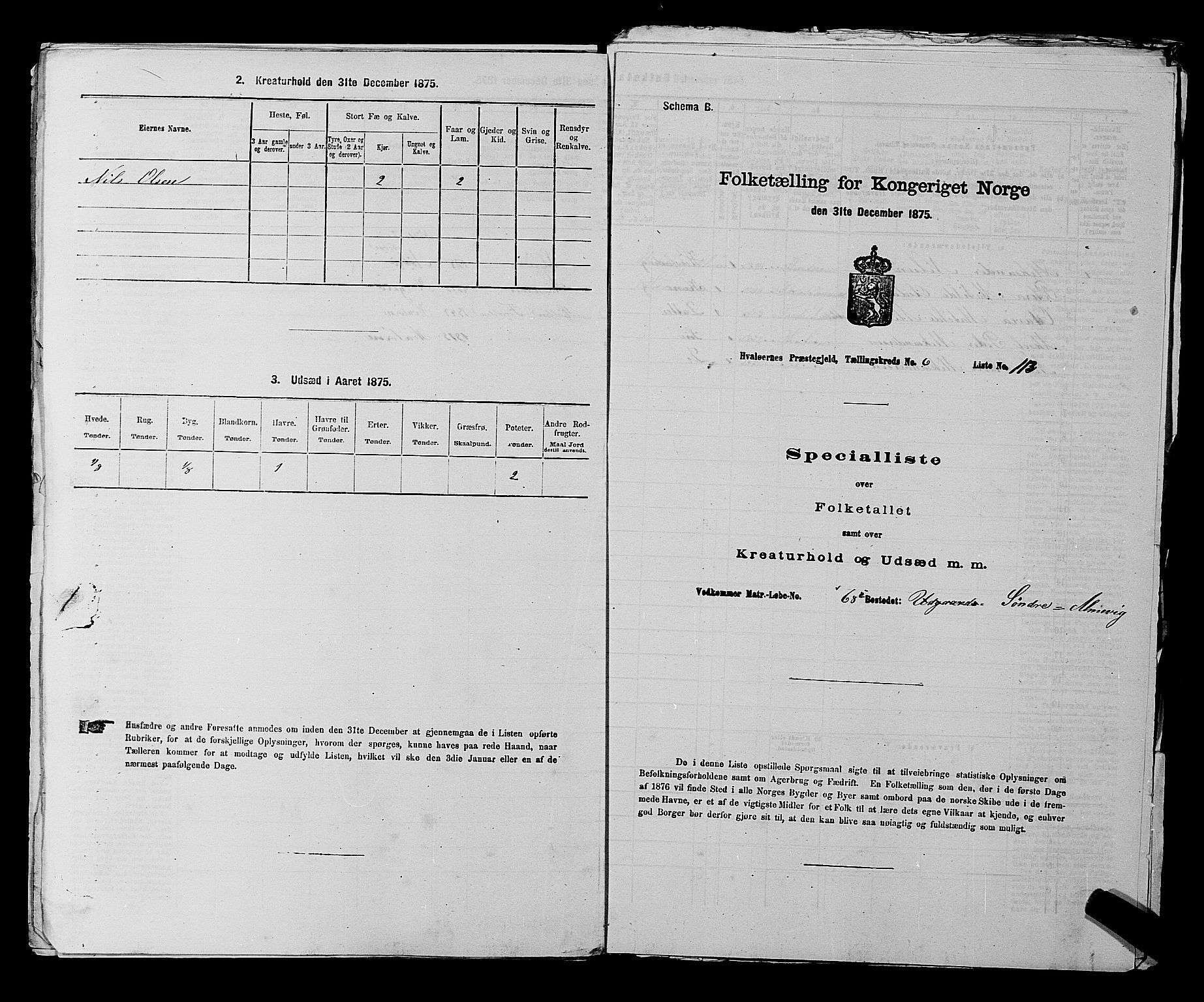 RA, 1875 census for 0111P Hvaler, 1875, p. 971