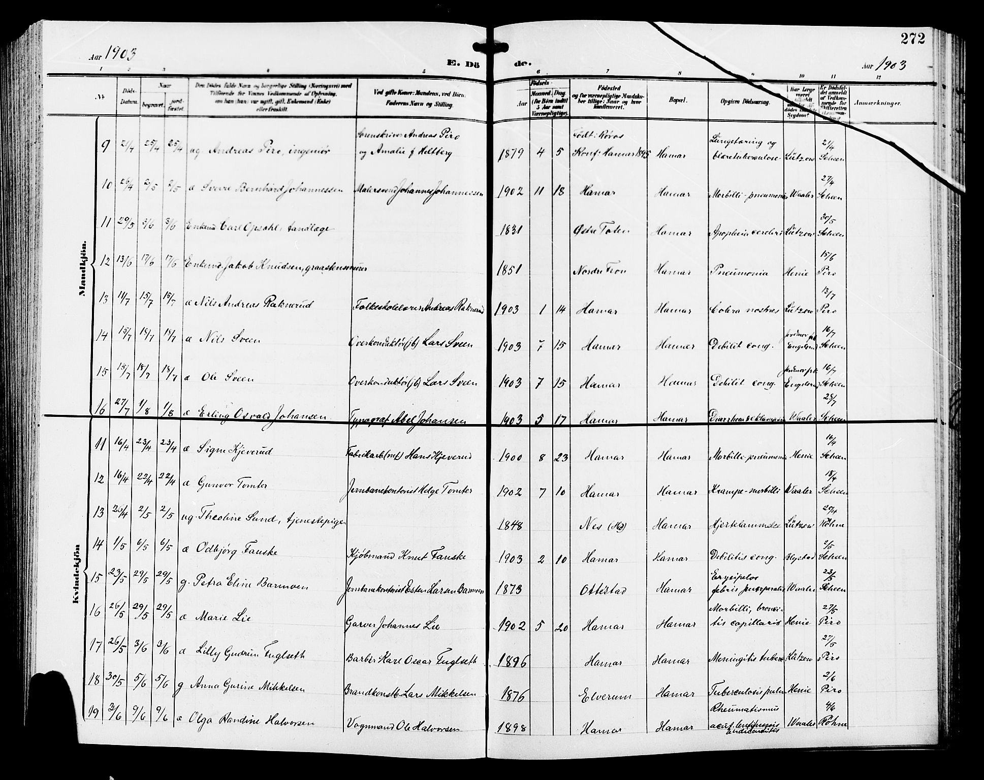 Hamar prestekontor, AV/SAH-DOMPH-002/H/Ha/Hab/L0001: Parish register (copy) no. 1, 1899-1914, p. 272