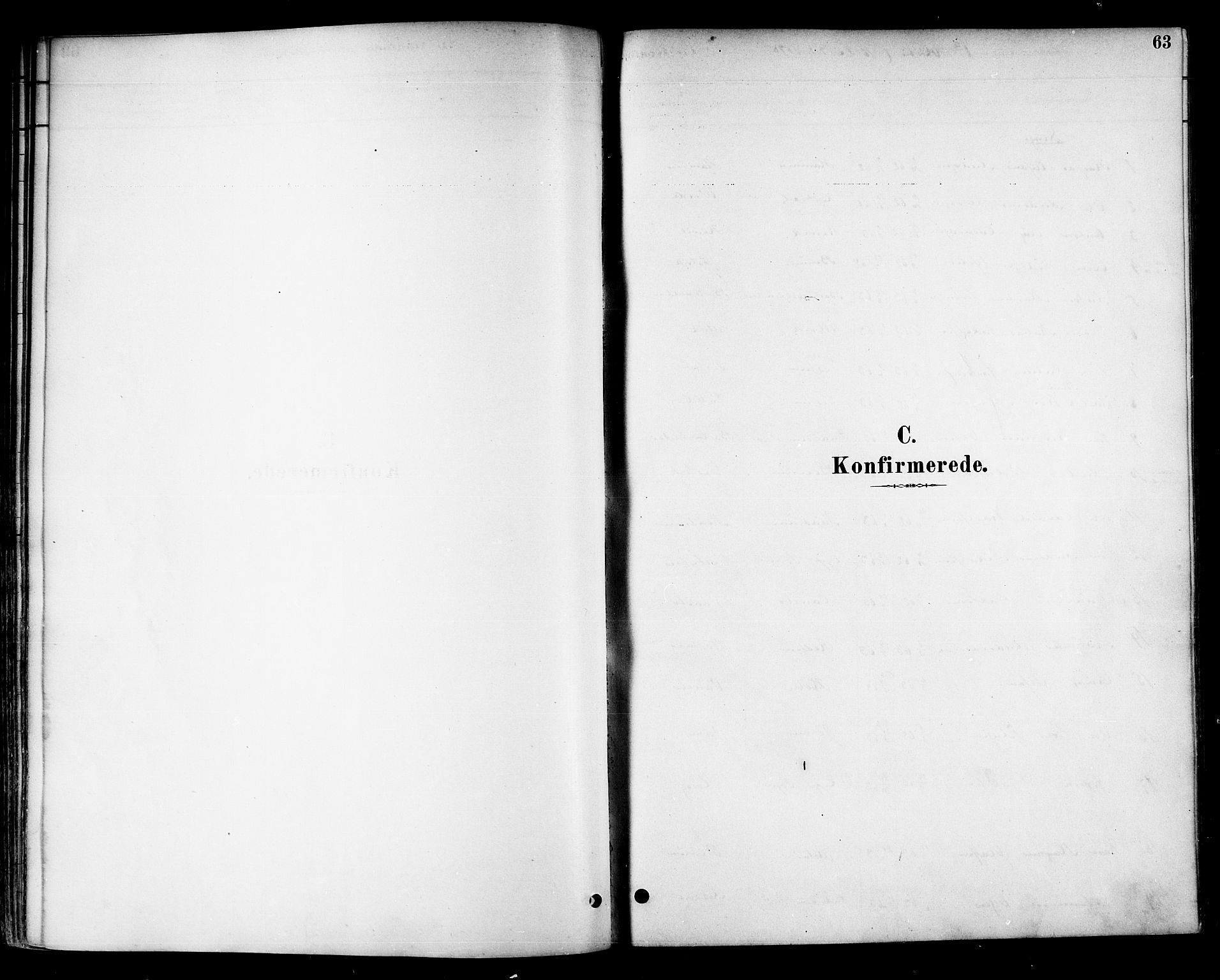 Ministerialprotokoller, klokkerbøker og fødselsregistre - Nord-Trøndelag, SAT/A-1458/741/L0395: Parish register (official) no. 741A09, 1878-1888, p. 63