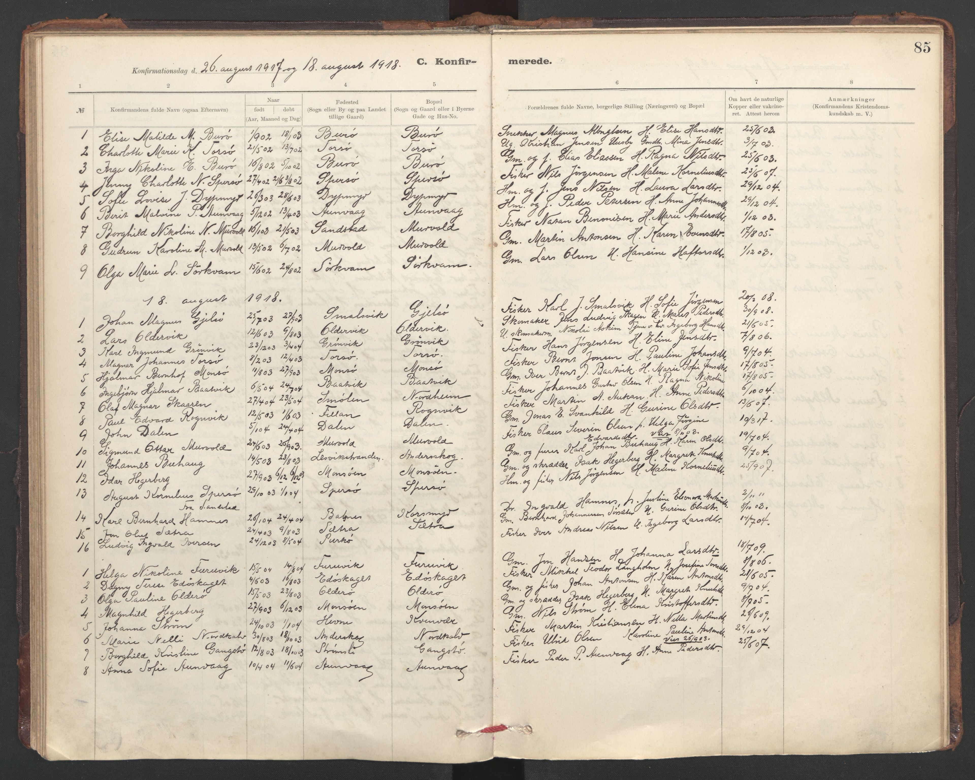 Ministerialprotokoller, klokkerbøker og fødselsregistre - Sør-Trøndelag, AV/SAT-A-1456/635/L0552: Parish register (official) no. 635A02, 1899-1919, p. 85