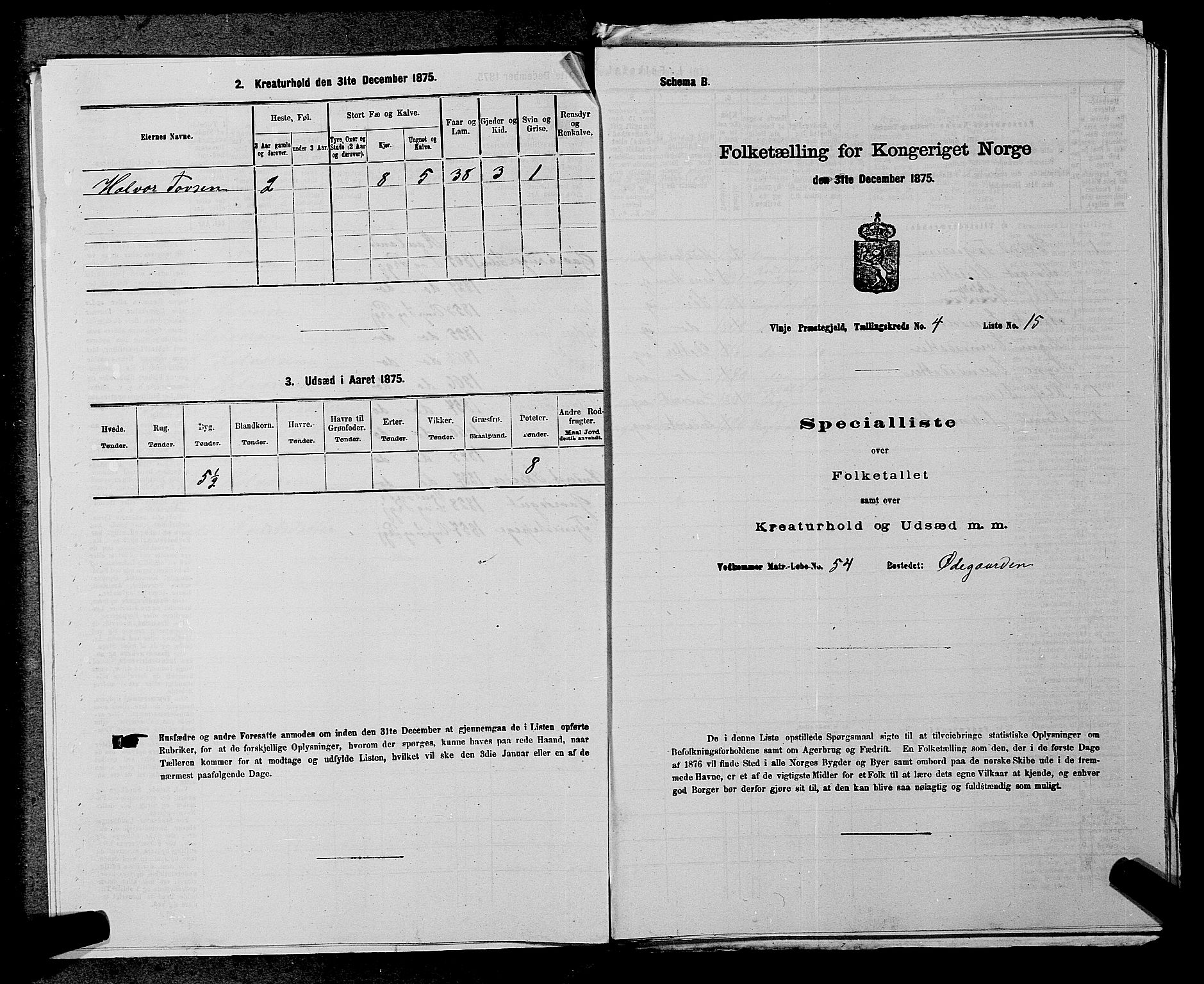 SAKO, 1875 census for 0834P Vinje, 1875, p. 309