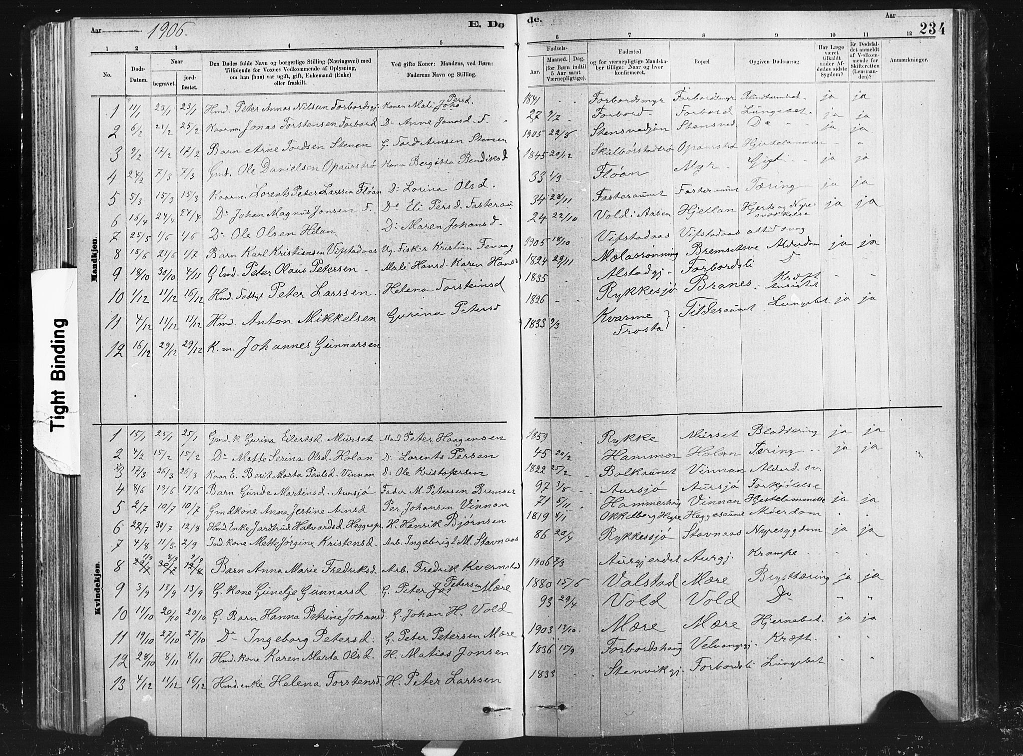 Ministerialprotokoller, klokkerbøker og fødselsregistre - Nord-Trøndelag, SAT/A-1458/712/L0103: Parish register (copy) no. 712C01, 1878-1917, p. 234
