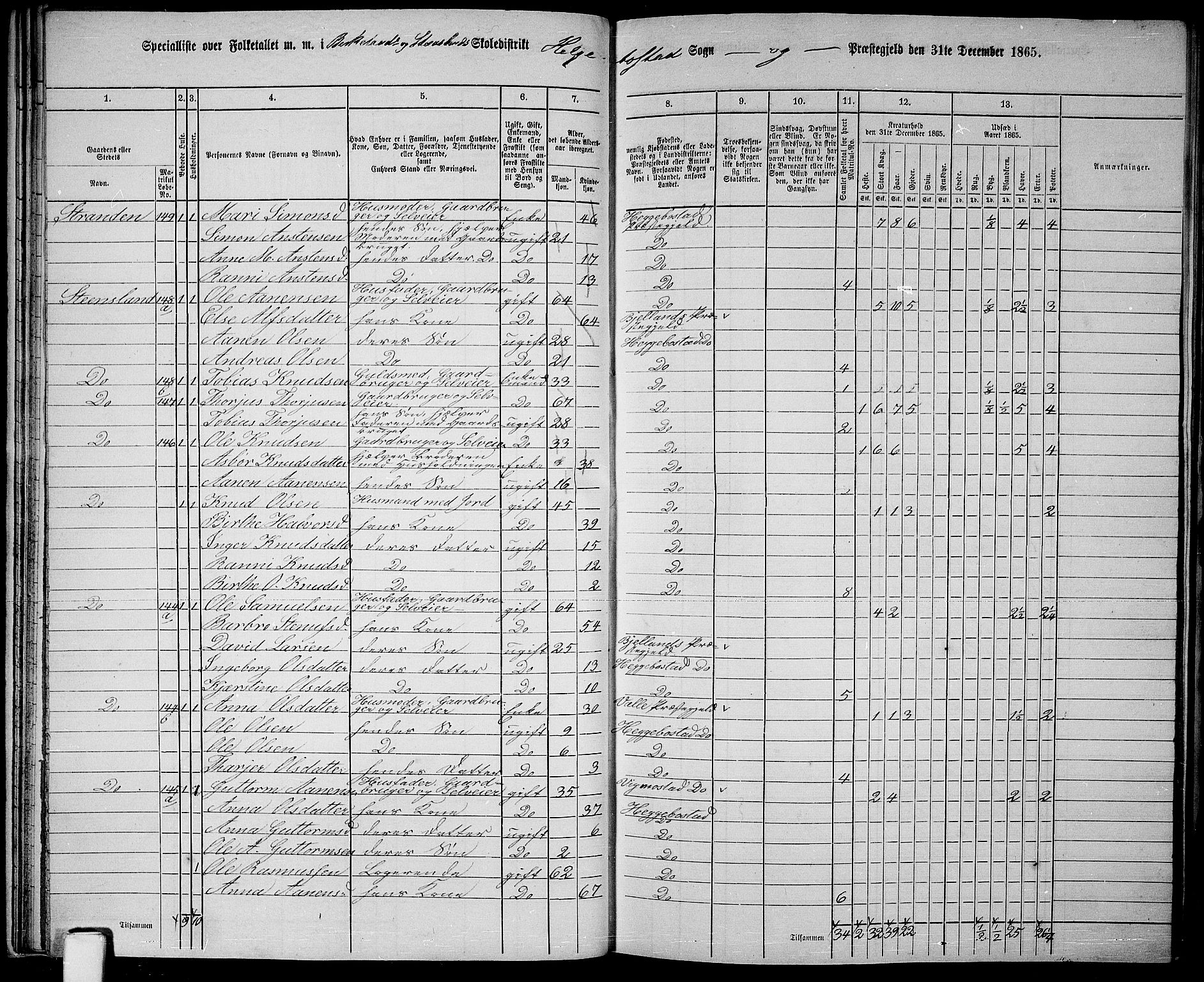 RA, 1865 census for Hægebostad, 1865, p. 36