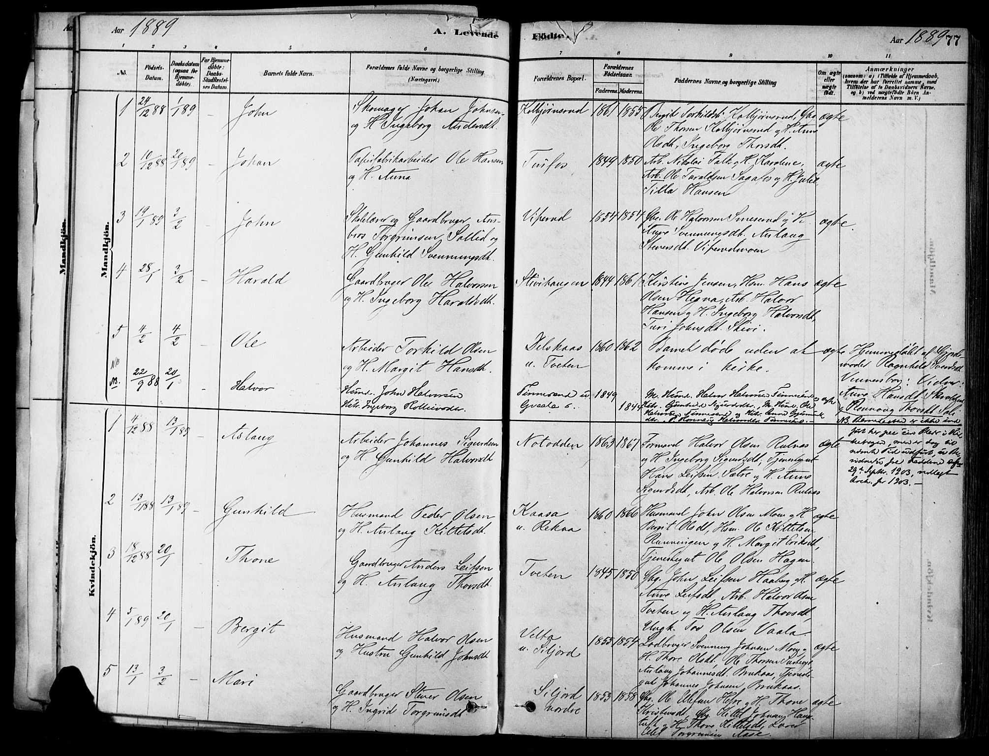 Heddal kirkebøker, SAKO/A-268/F/Fa/L0008: Parish register (official) no. I 8, 1878-1903, p. 77