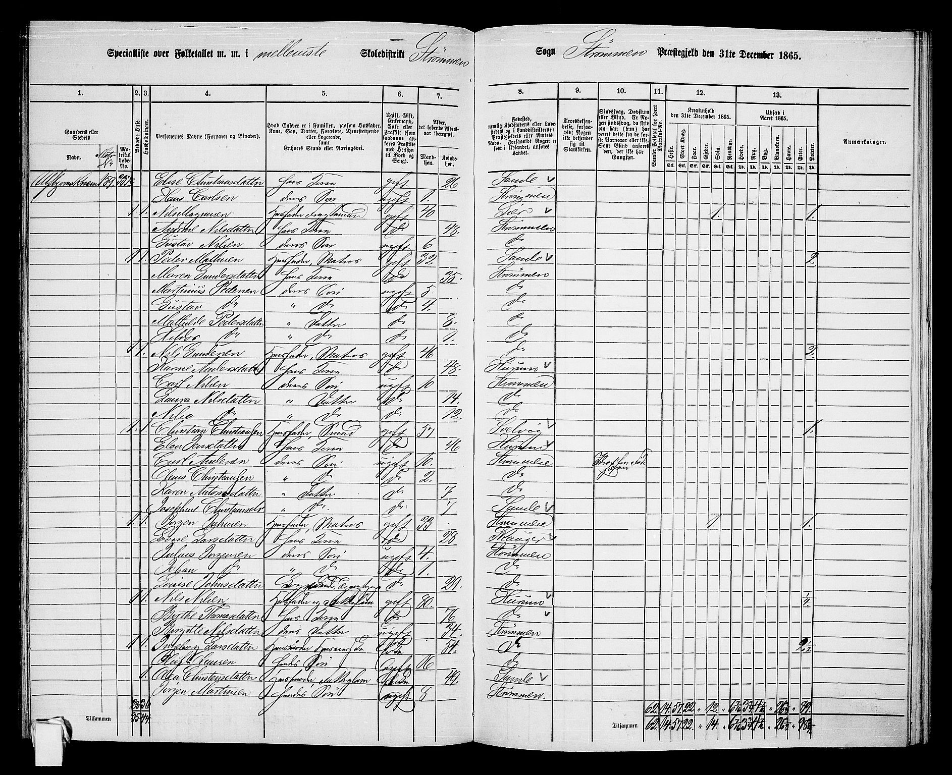 RA, 1865 census for Strømm, 1865, p. 23