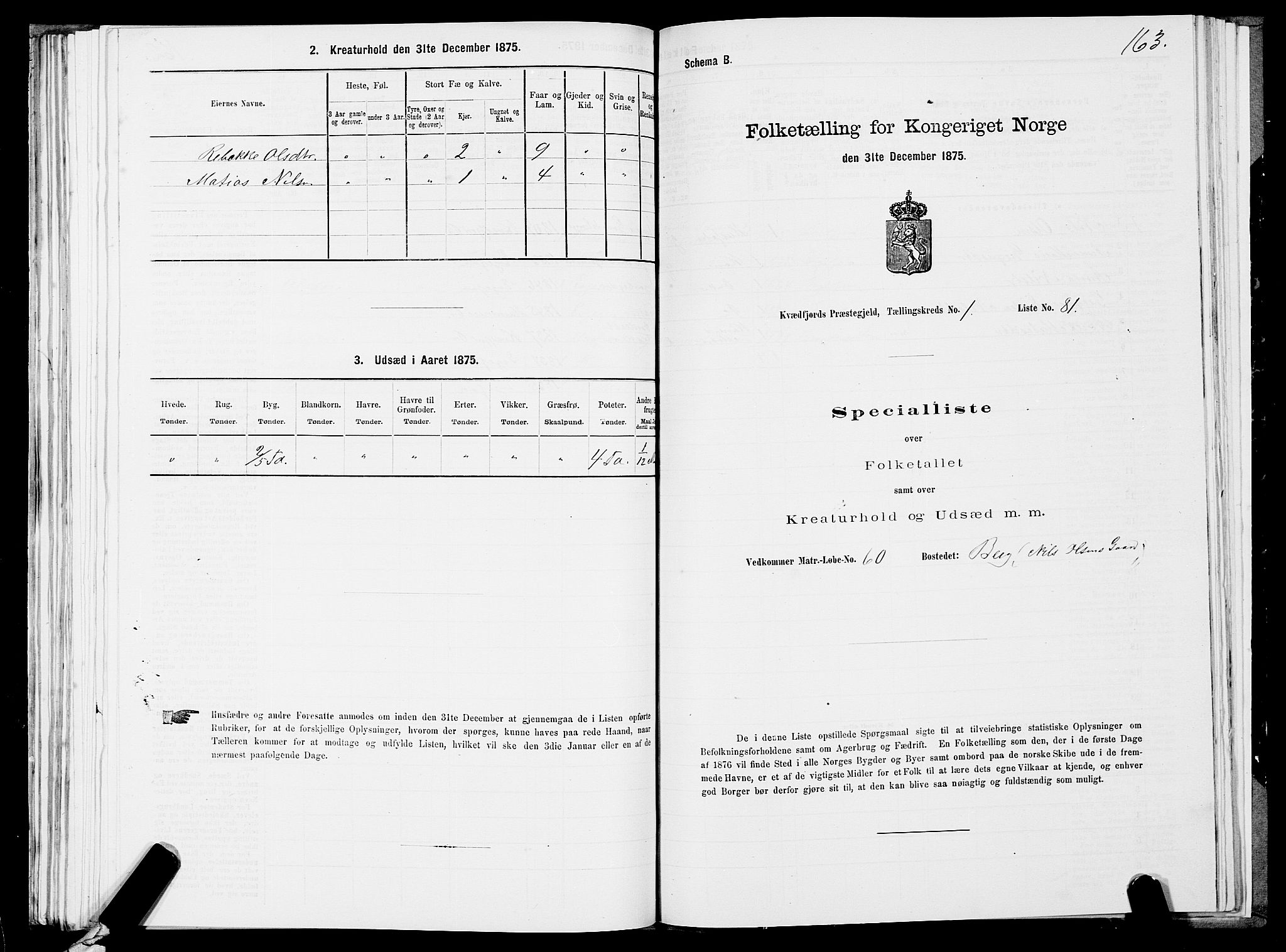 SATØ, 1875 census for 1911P Kvæfjord, 1875, p. 1163