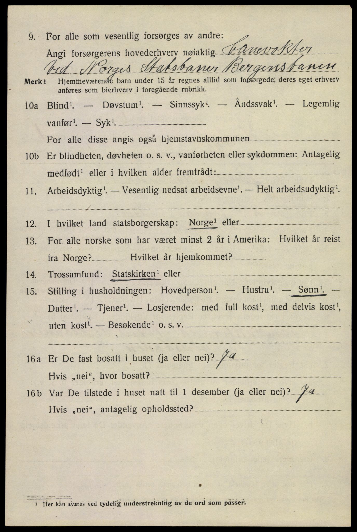 SAKO, 1920 census for Hønefoss, 1920, p. 2821