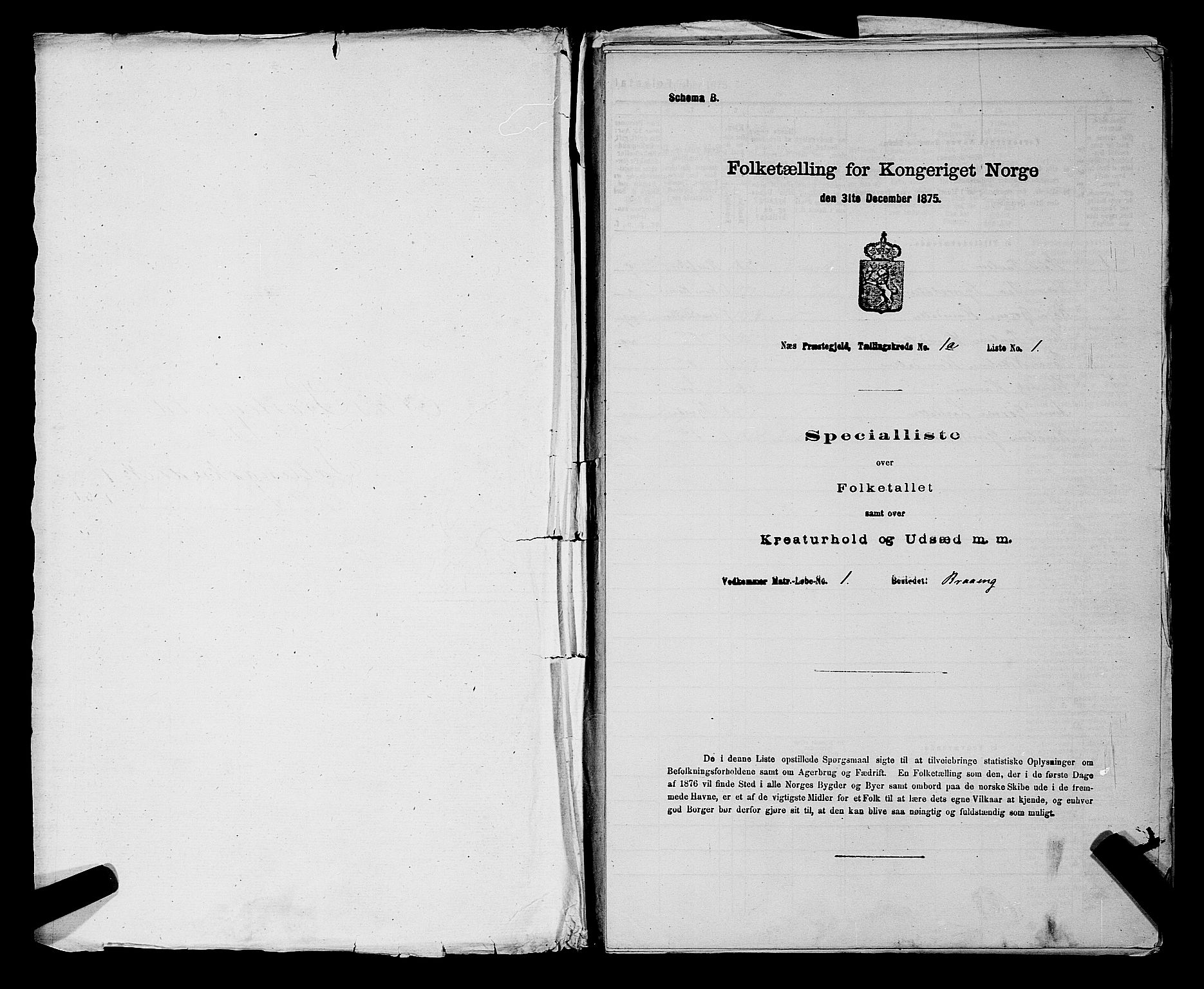 RA, 1875 census for 0236P Nes, 1875, p. 71