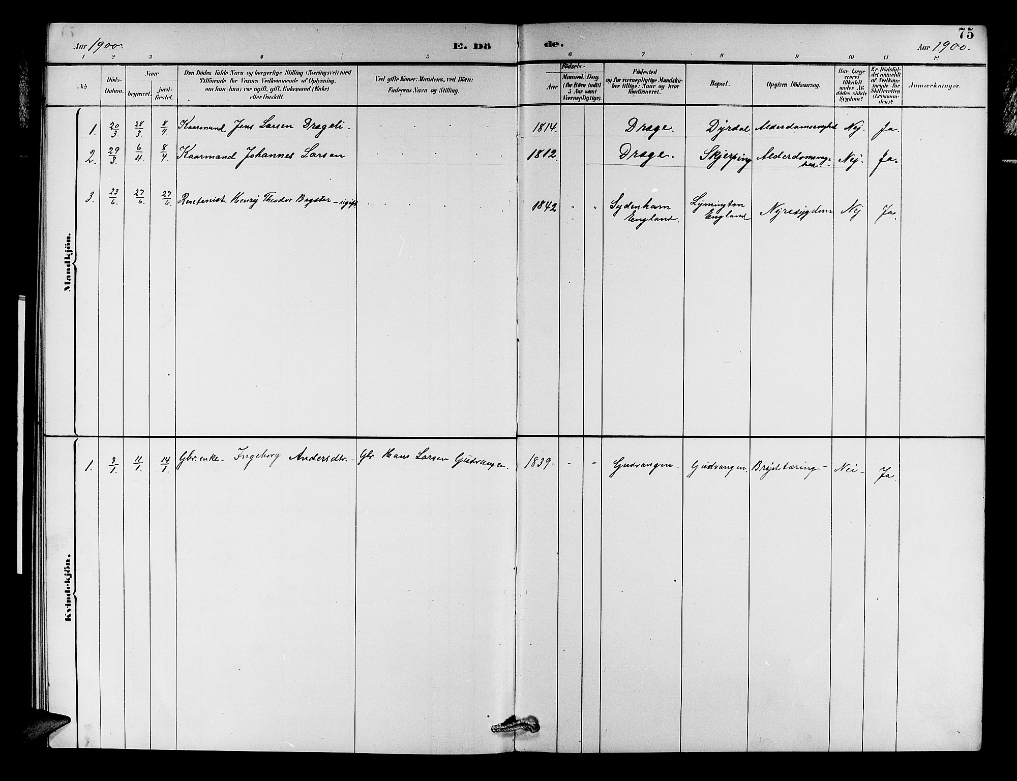 Aurland sokneprestembete, SAB/A-99937/H/Hb/Hbc/L0002: Parish register (copy) no. C 2, 1883-1900, p. 75