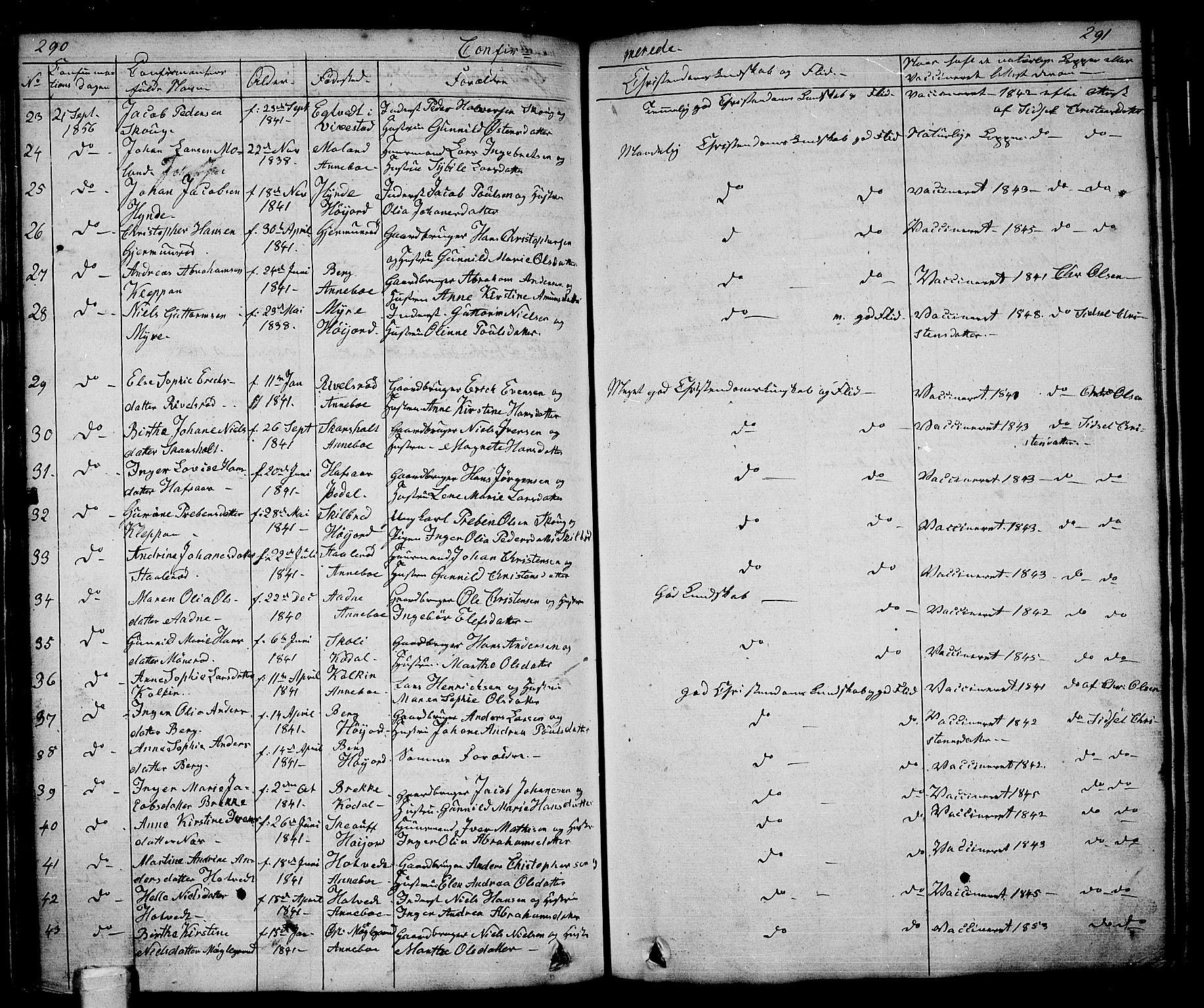 Andebu kirkebøker, AV/SAKO-A-336/G/Ga/L0003: Parish register (copy) no. I 3, 1832-1867, p. 290-291