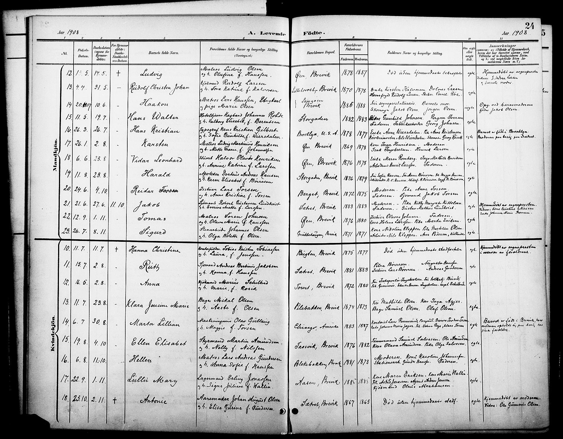 Brevik kirkebøker, SAKO/A-255/G/Ga/L0005: Parish register (copy) no. 5, 1901-1924, p. 24