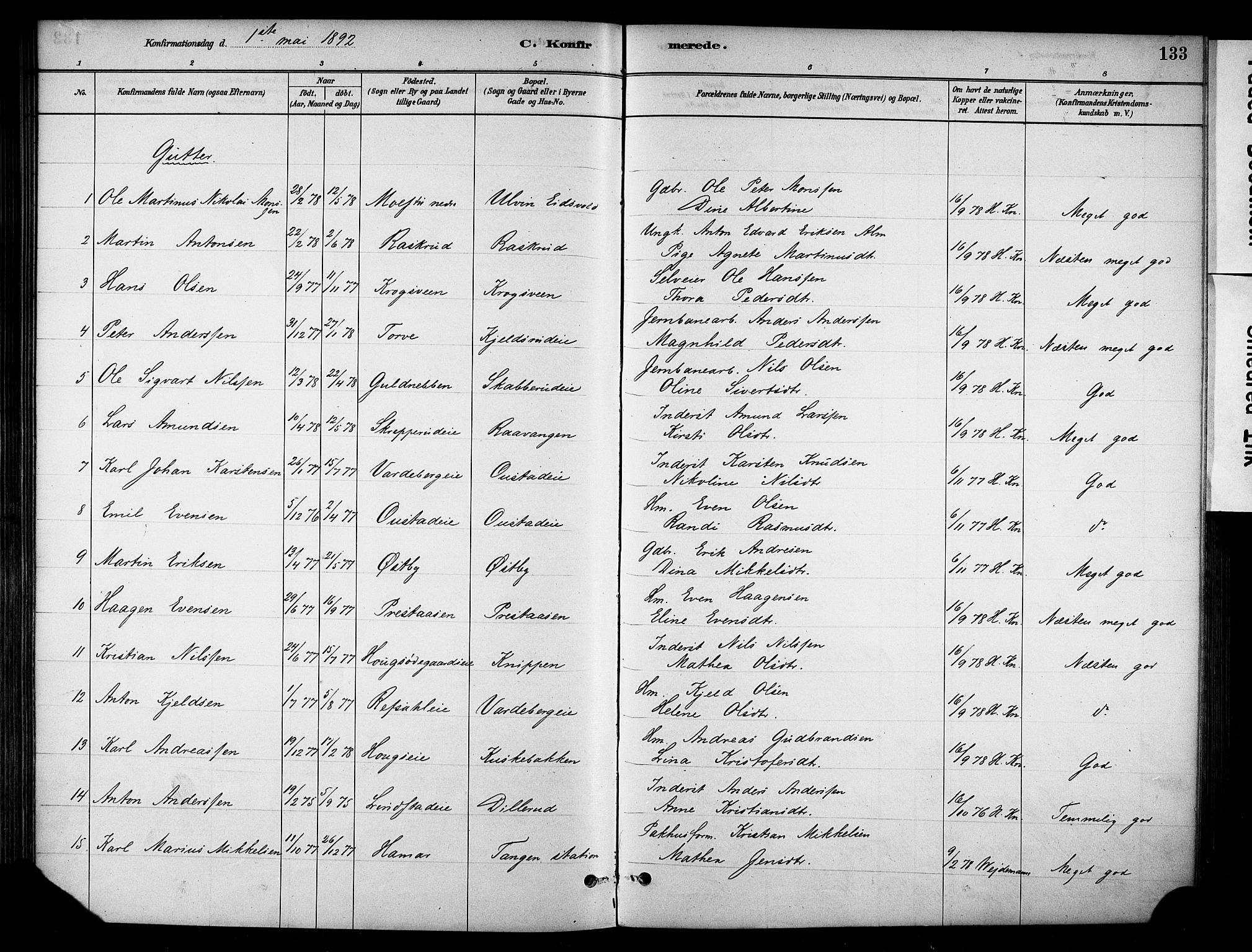Stange prestekontor, SAH/PREST-002/K/L0018: Parish register (official) no. 18, 1880-1896, p. 133