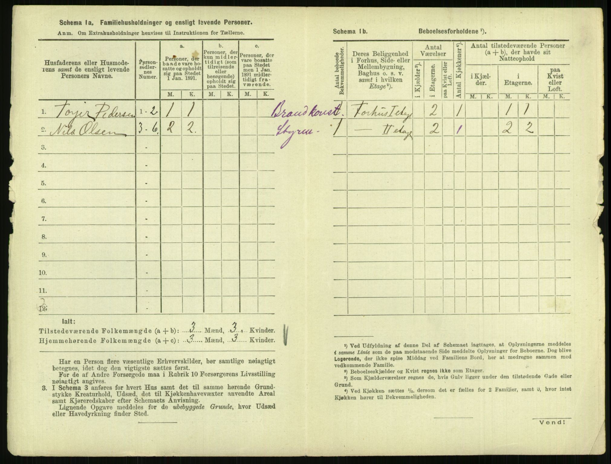 RA, 1891 census for 0902 Tvedestrand, 1891, p. 15